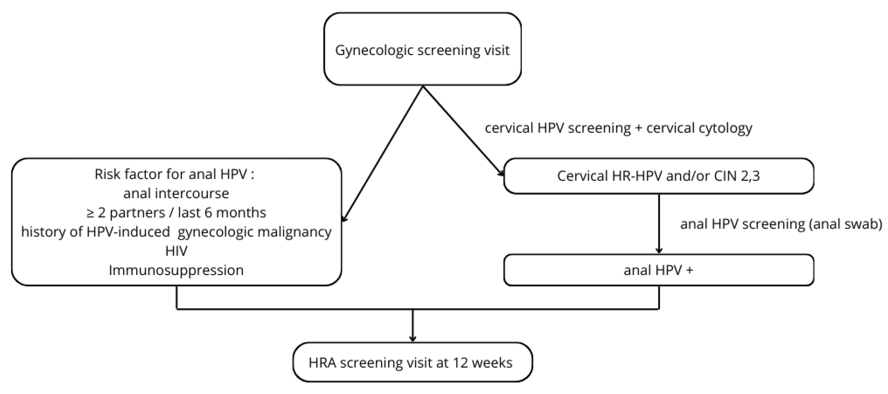 Cancers 16 03534 g003