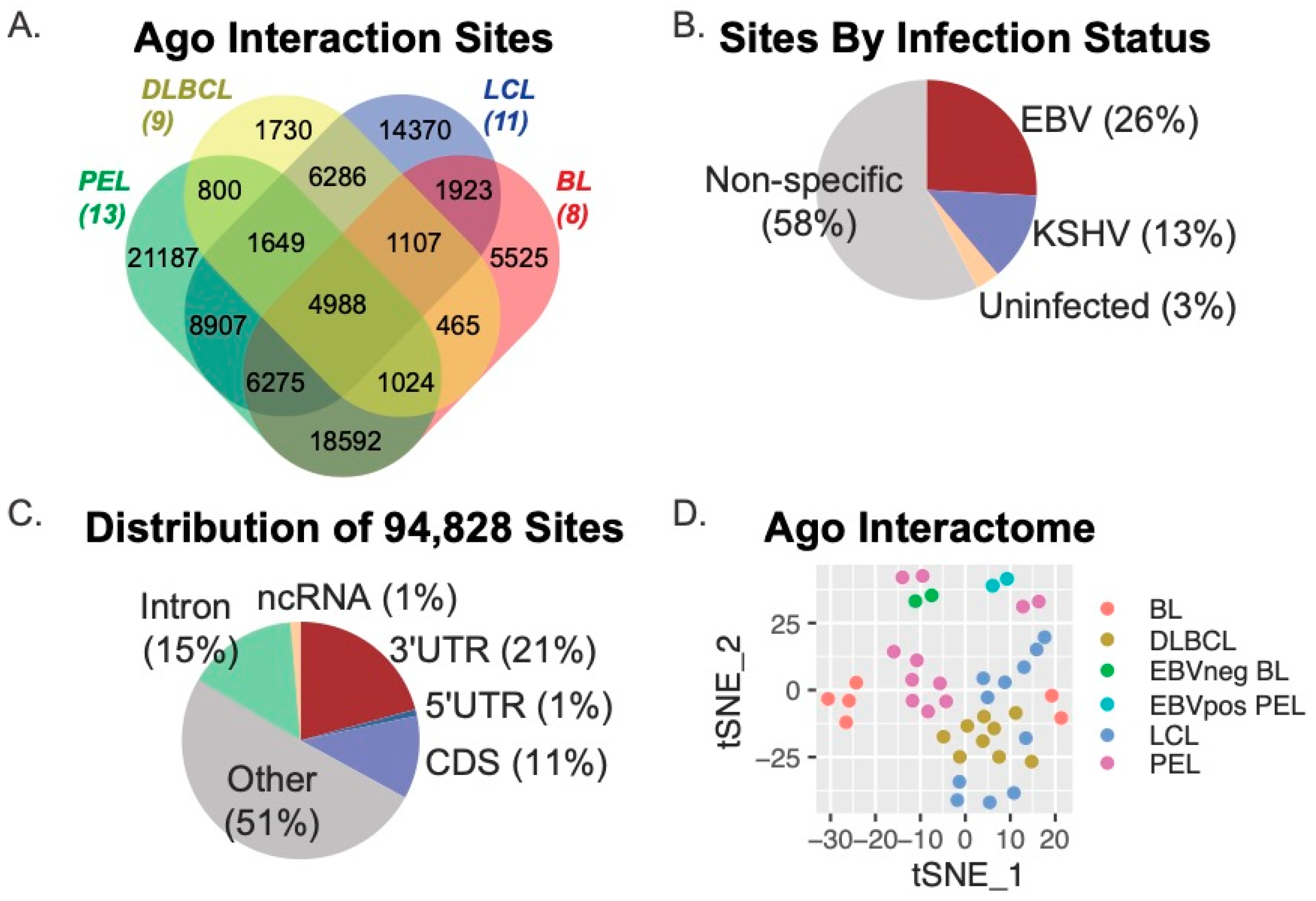 Cancers 16 03537 g001