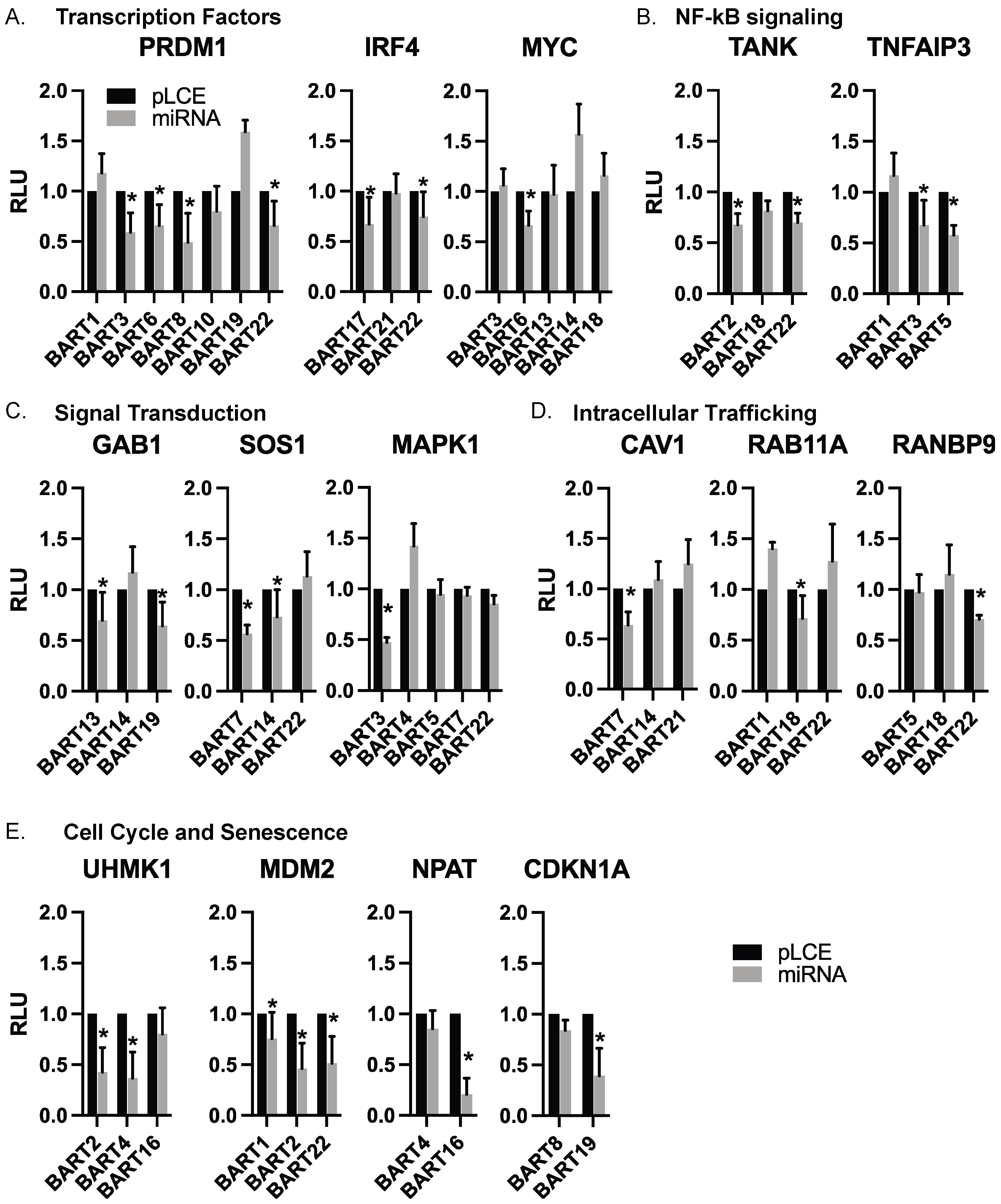 Cancers 16 03537 g004