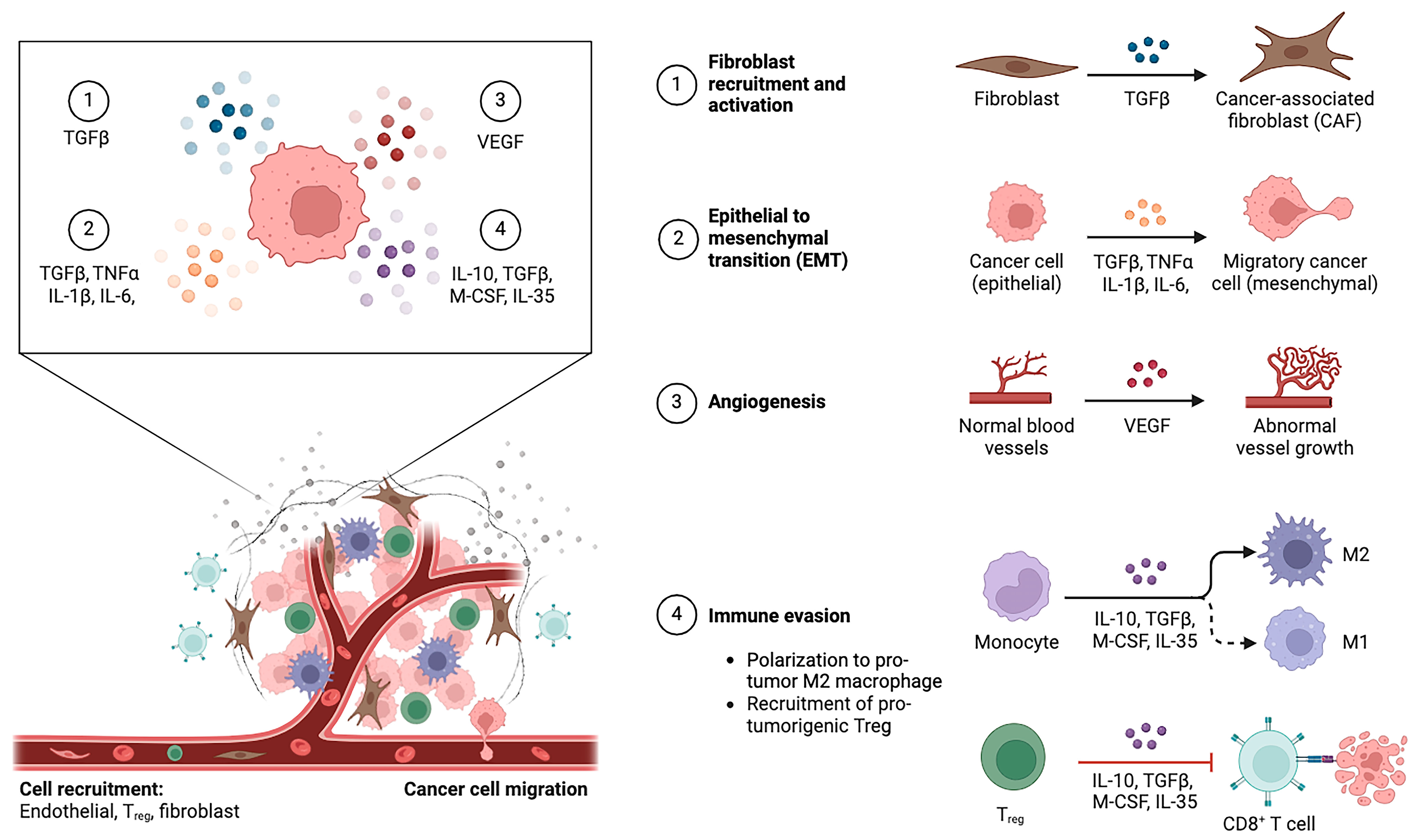 Cancers 16 03542 g001