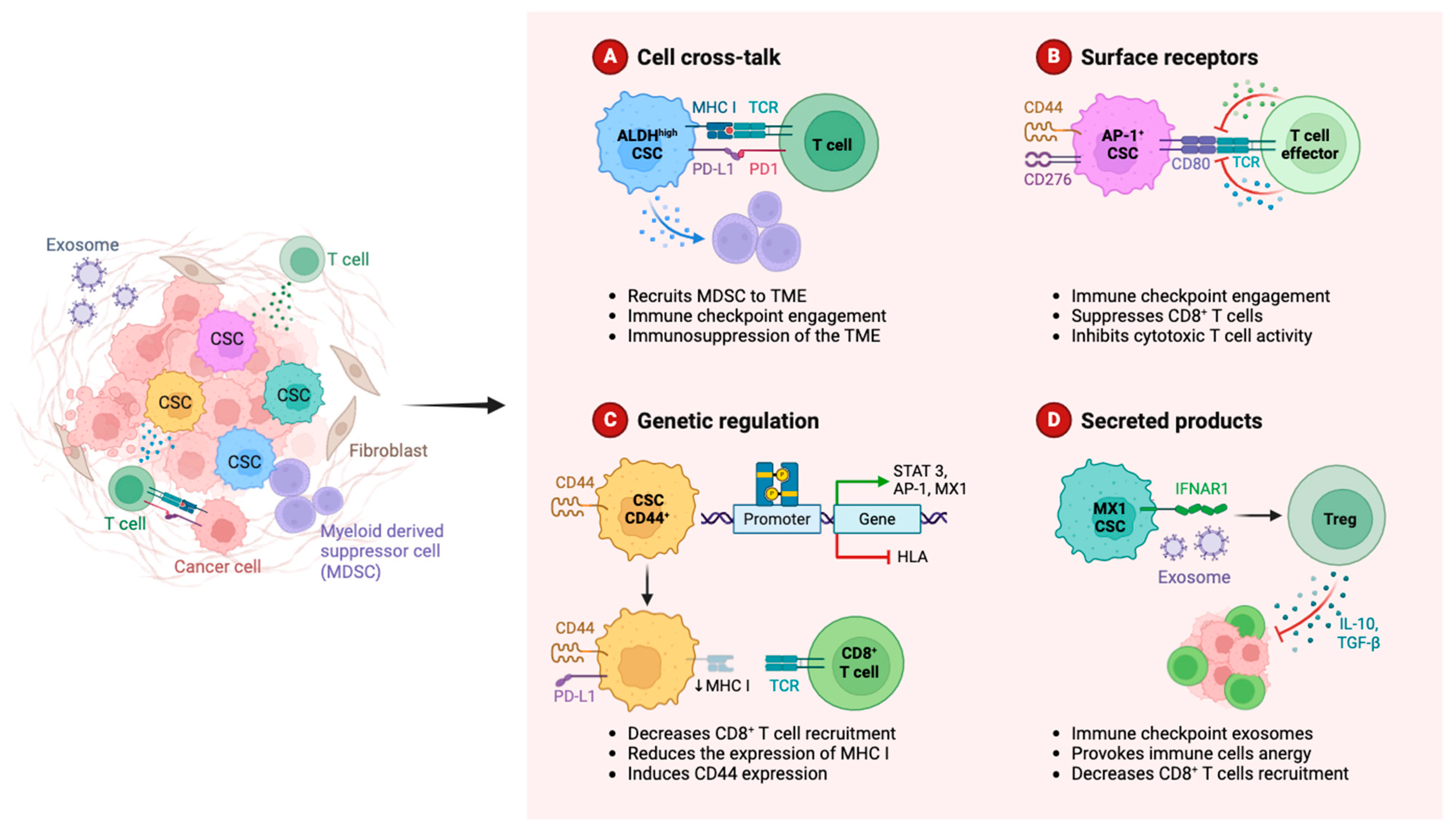 Cancers 16 03542 g002