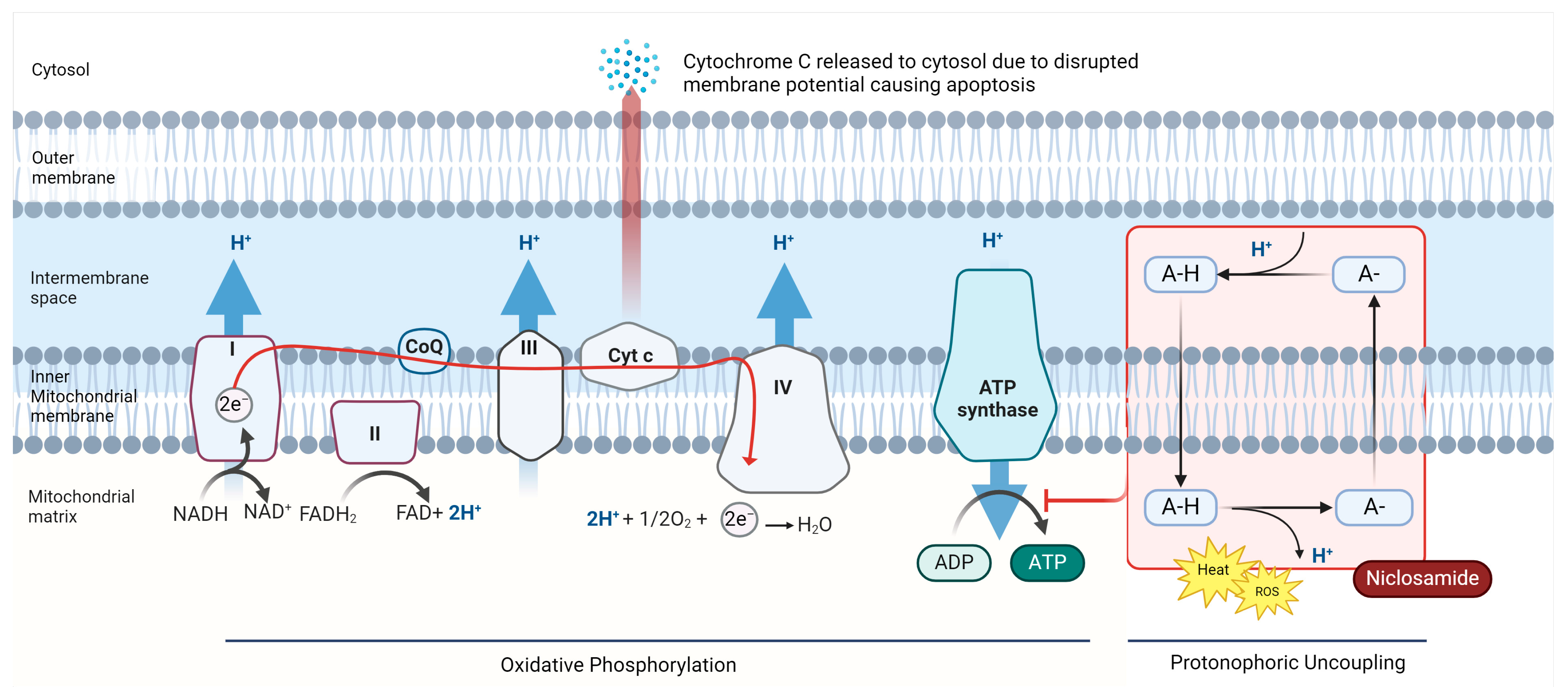 Cancers 16 03548 g001
