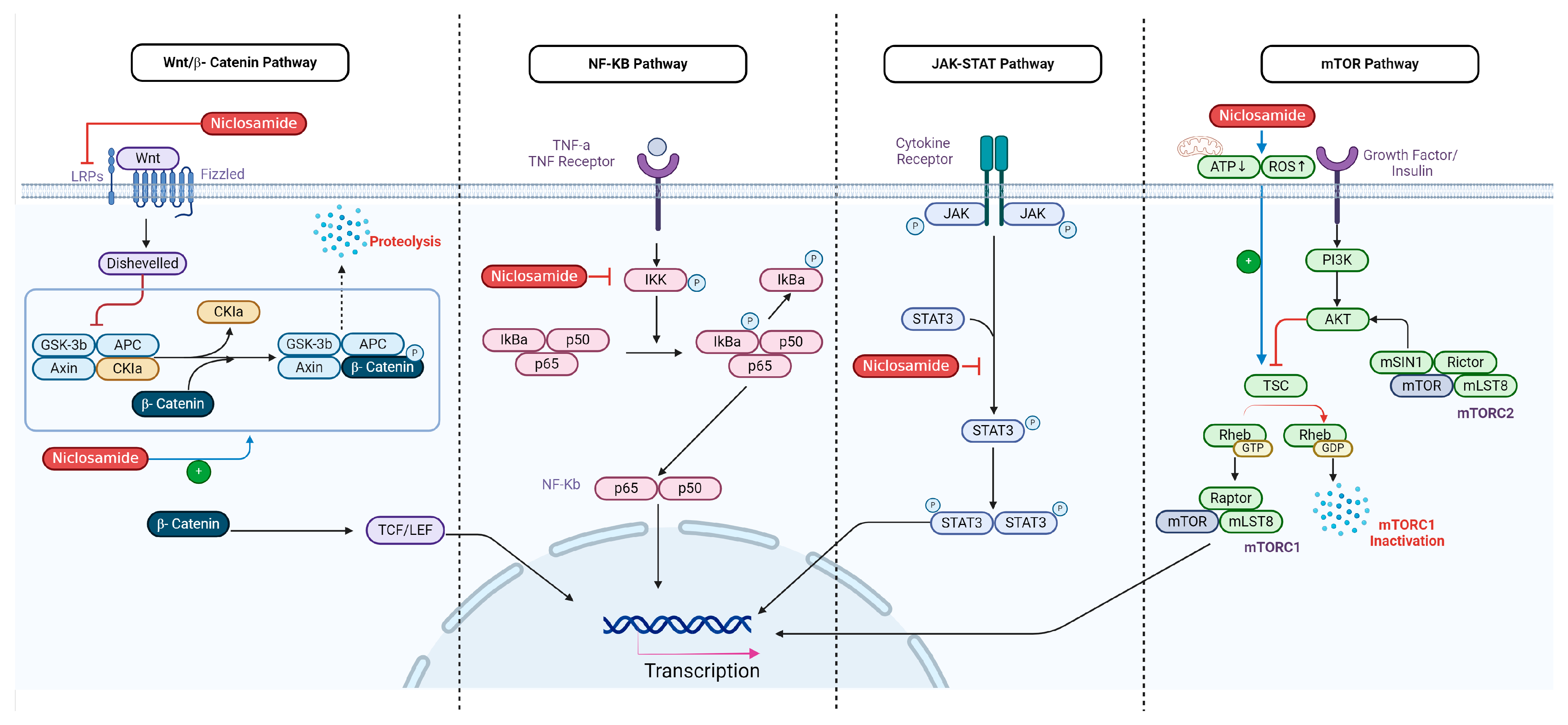 Cancers 16 03548 g002