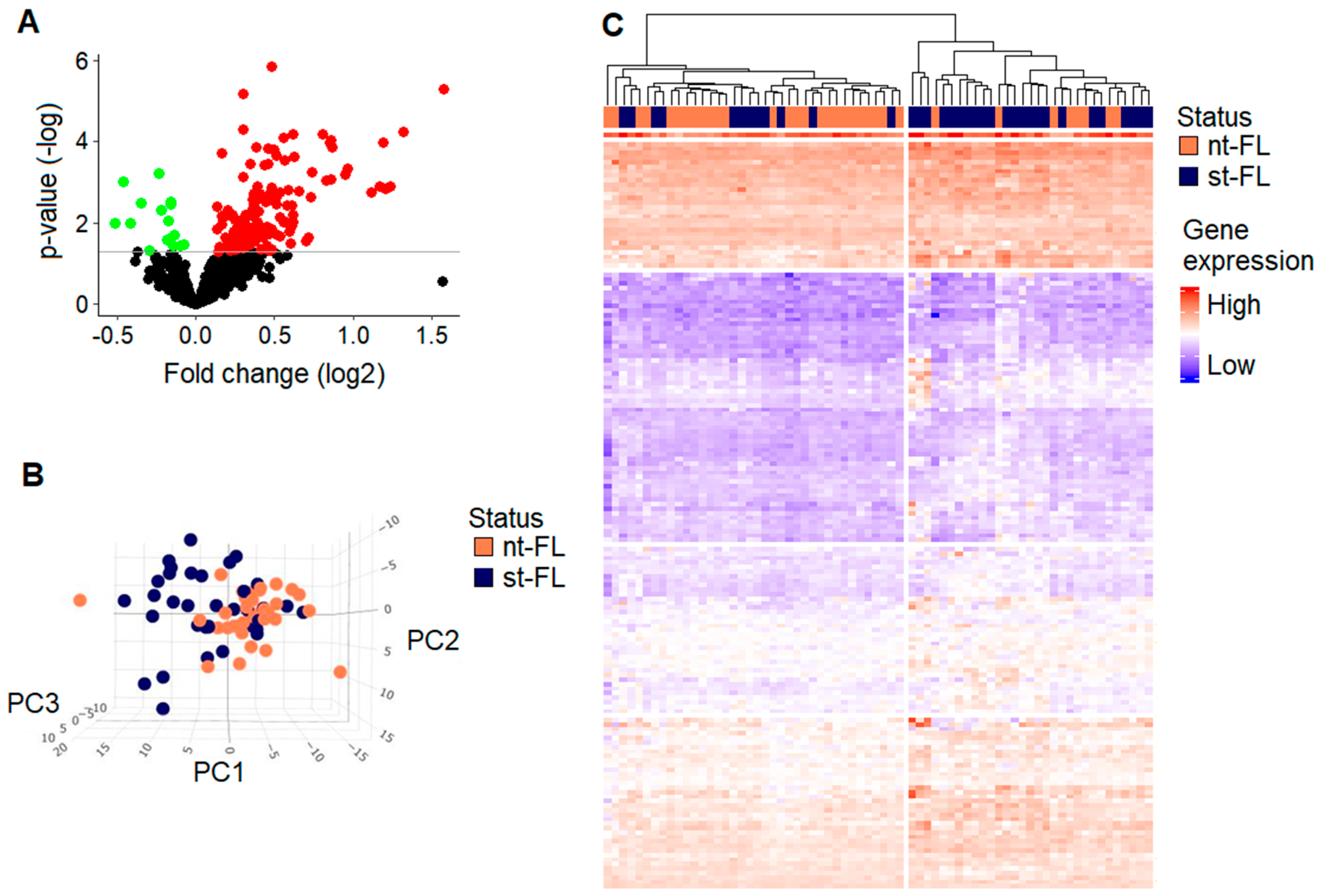 Cancers 16 03553 g001