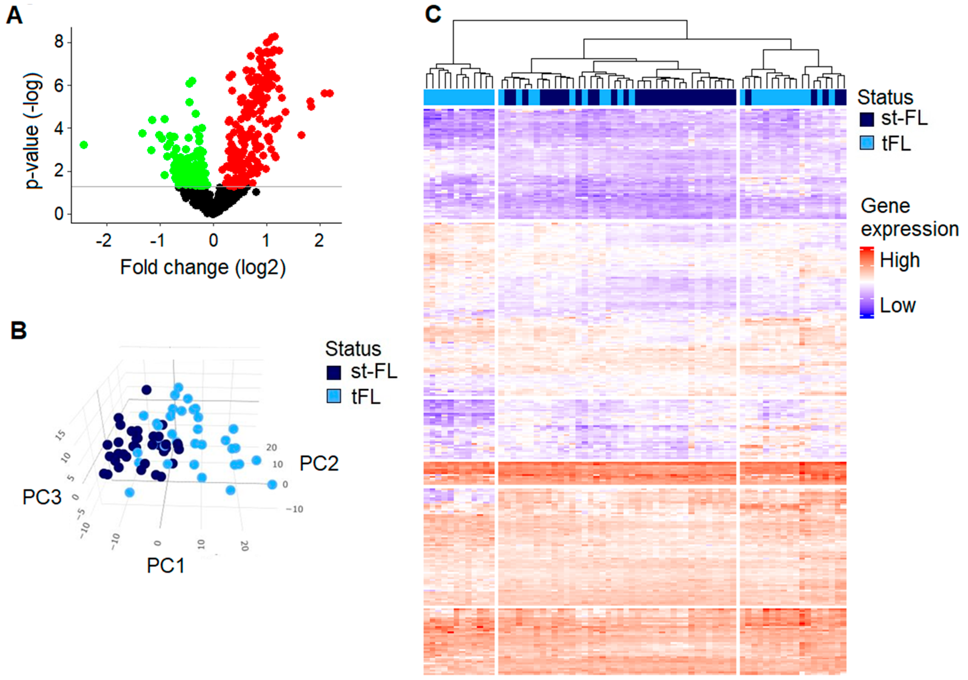 Cancers 16 03553 g003