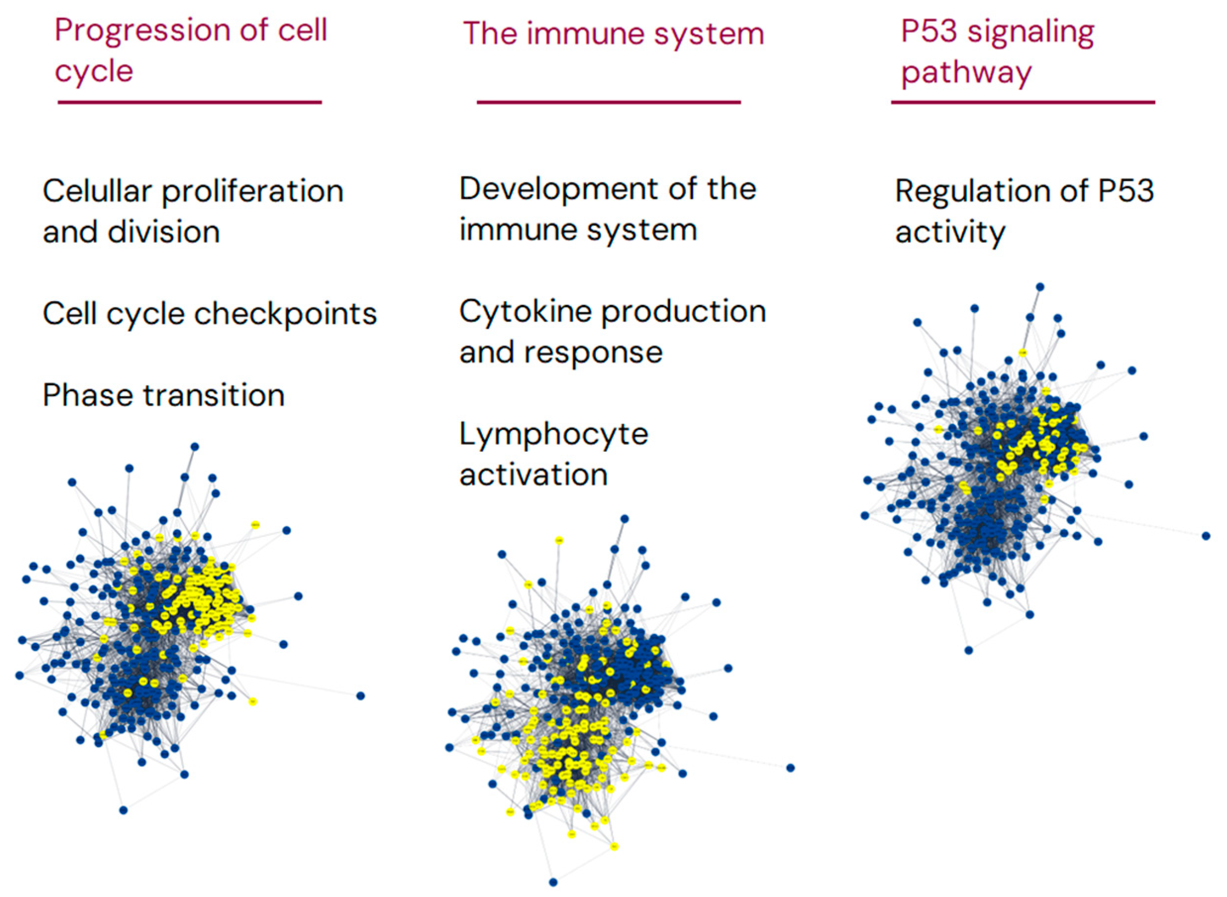 Cancers 16 03553 g004