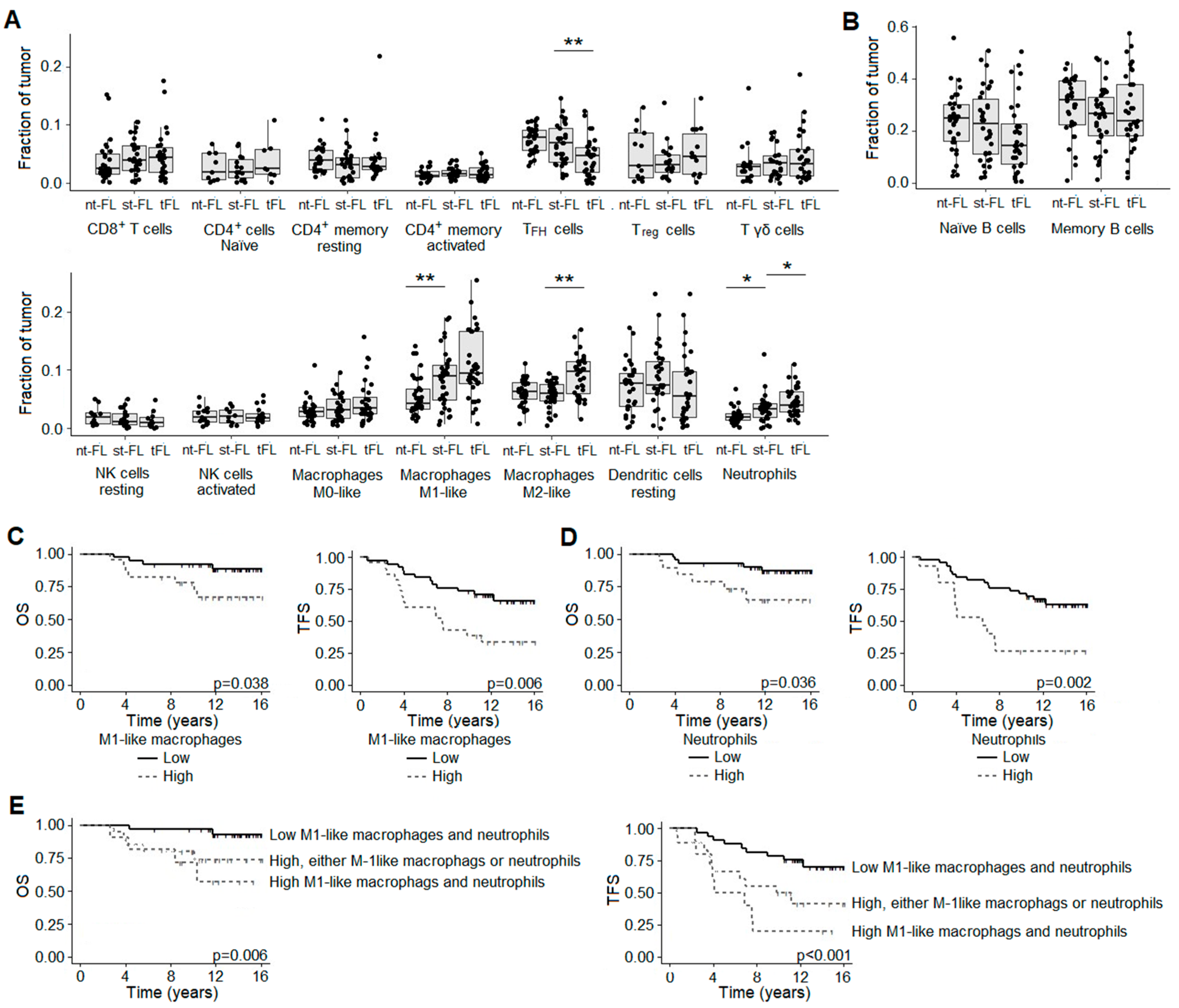 Cancers 16 03553 g005