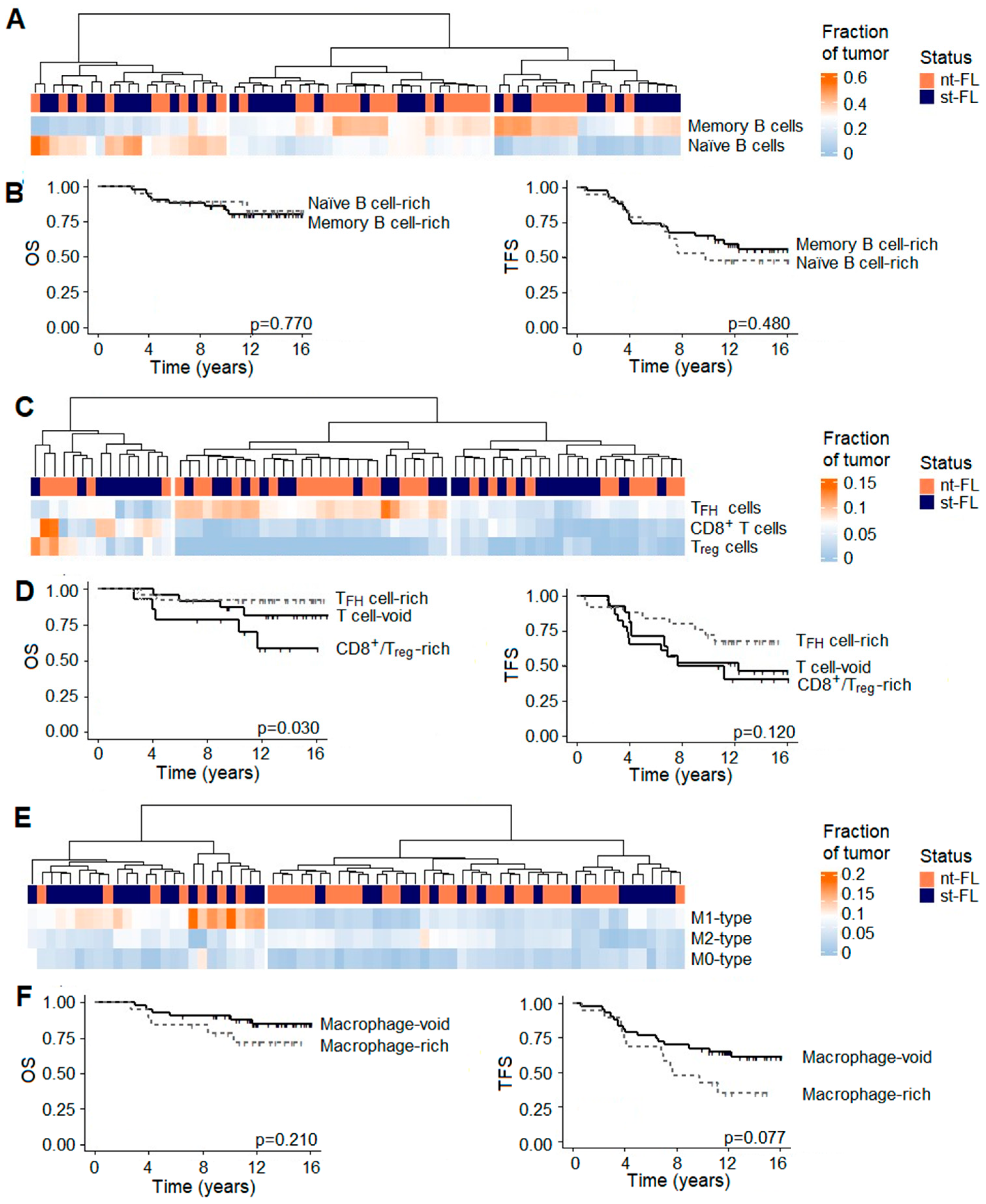 Cancers 16 03553 g006