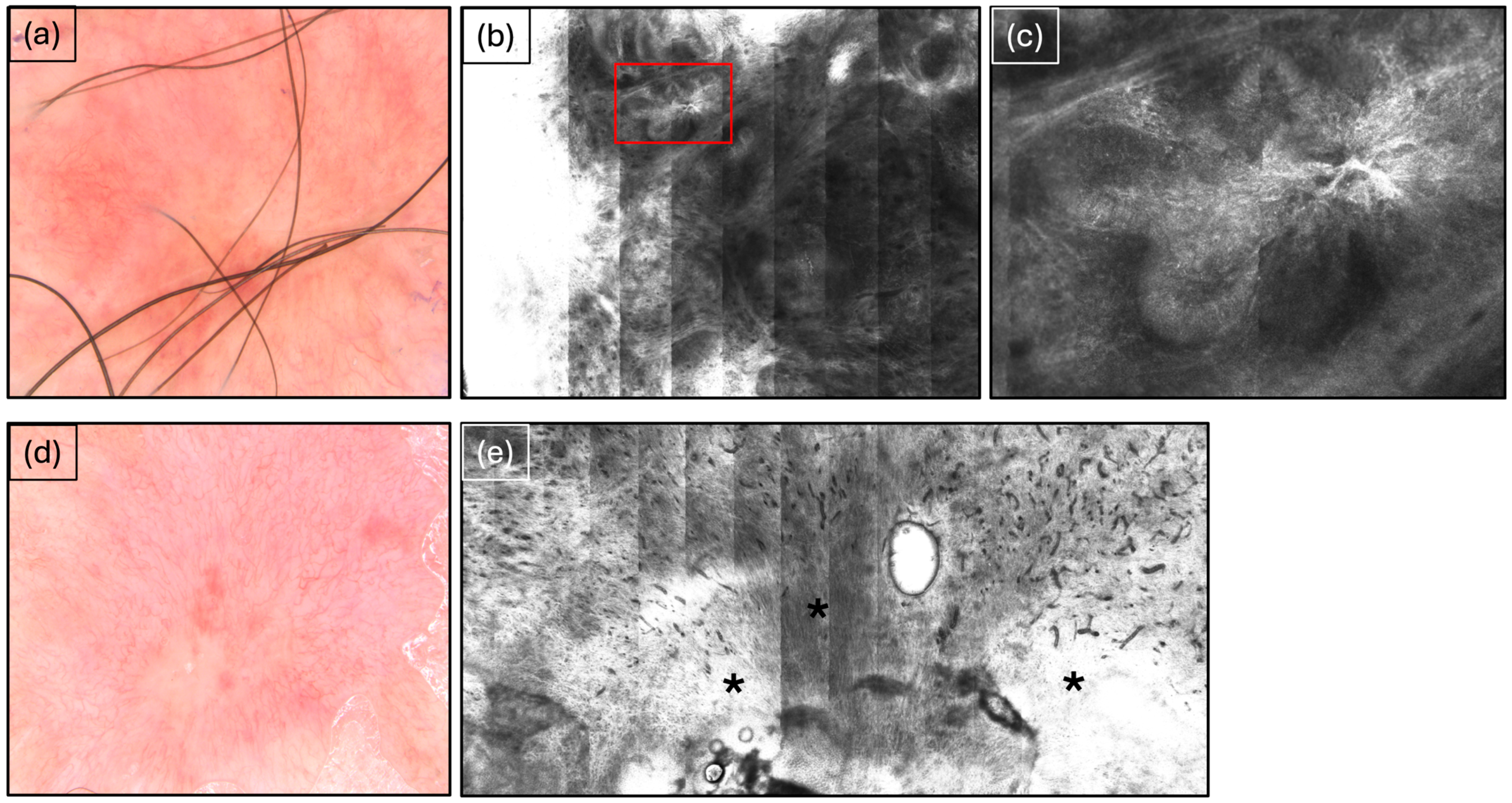 Cancers 16 03557 g001