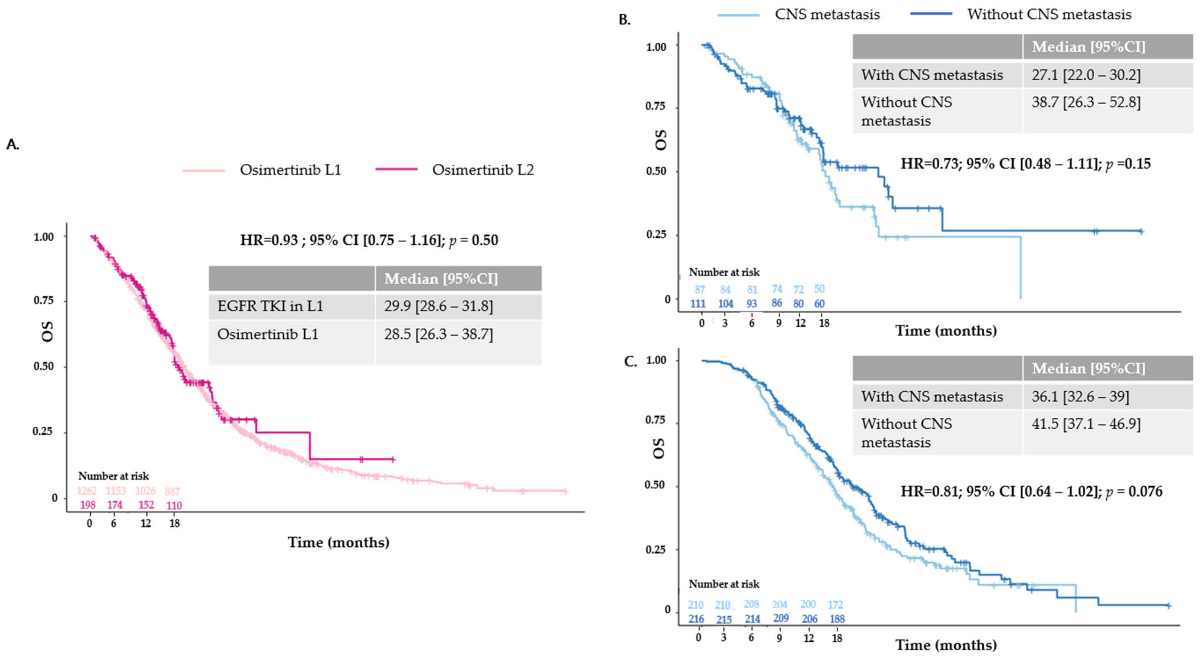 Cancers 16 03563 g003