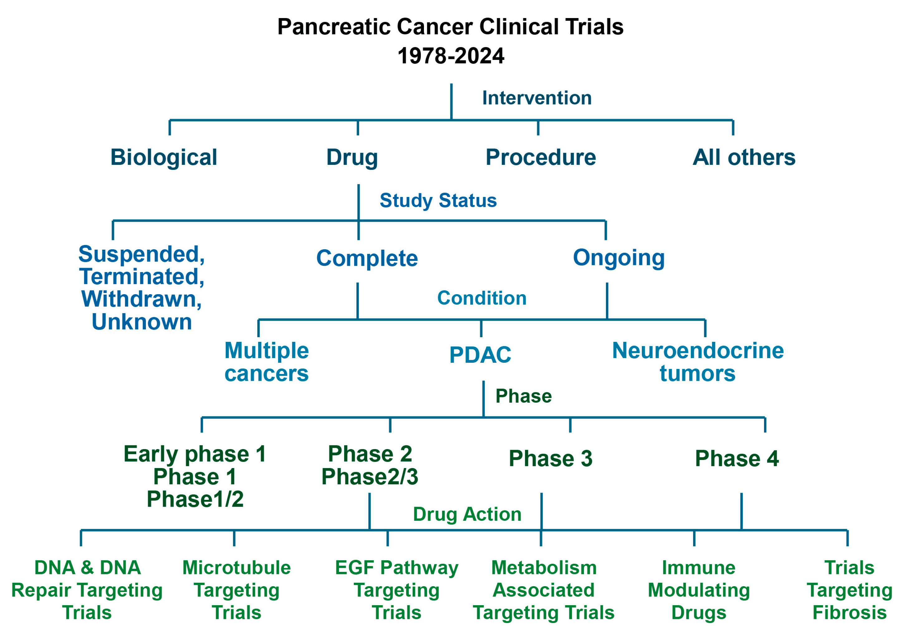 Cancers 16 03564 g002