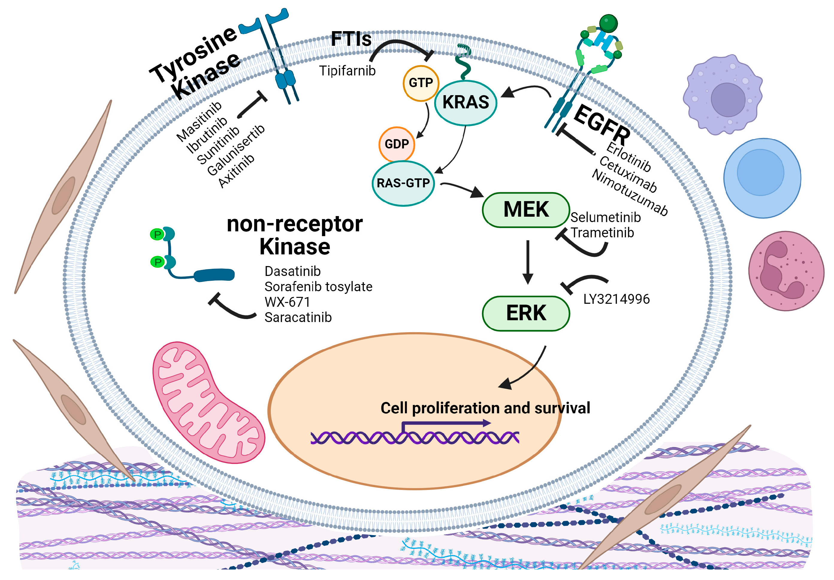 Cancers 16 03564 g006