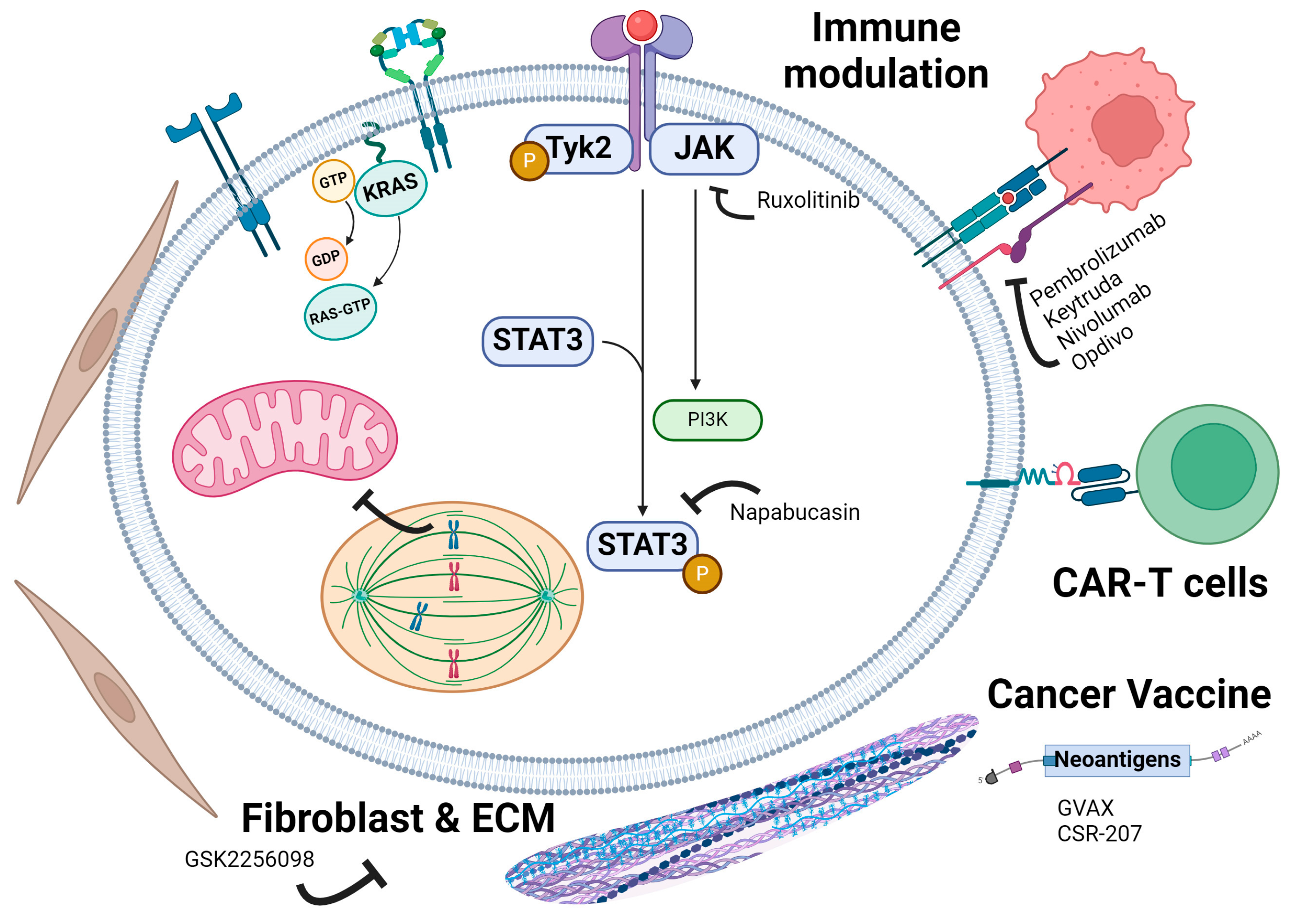 Cancers 16 03564 g008