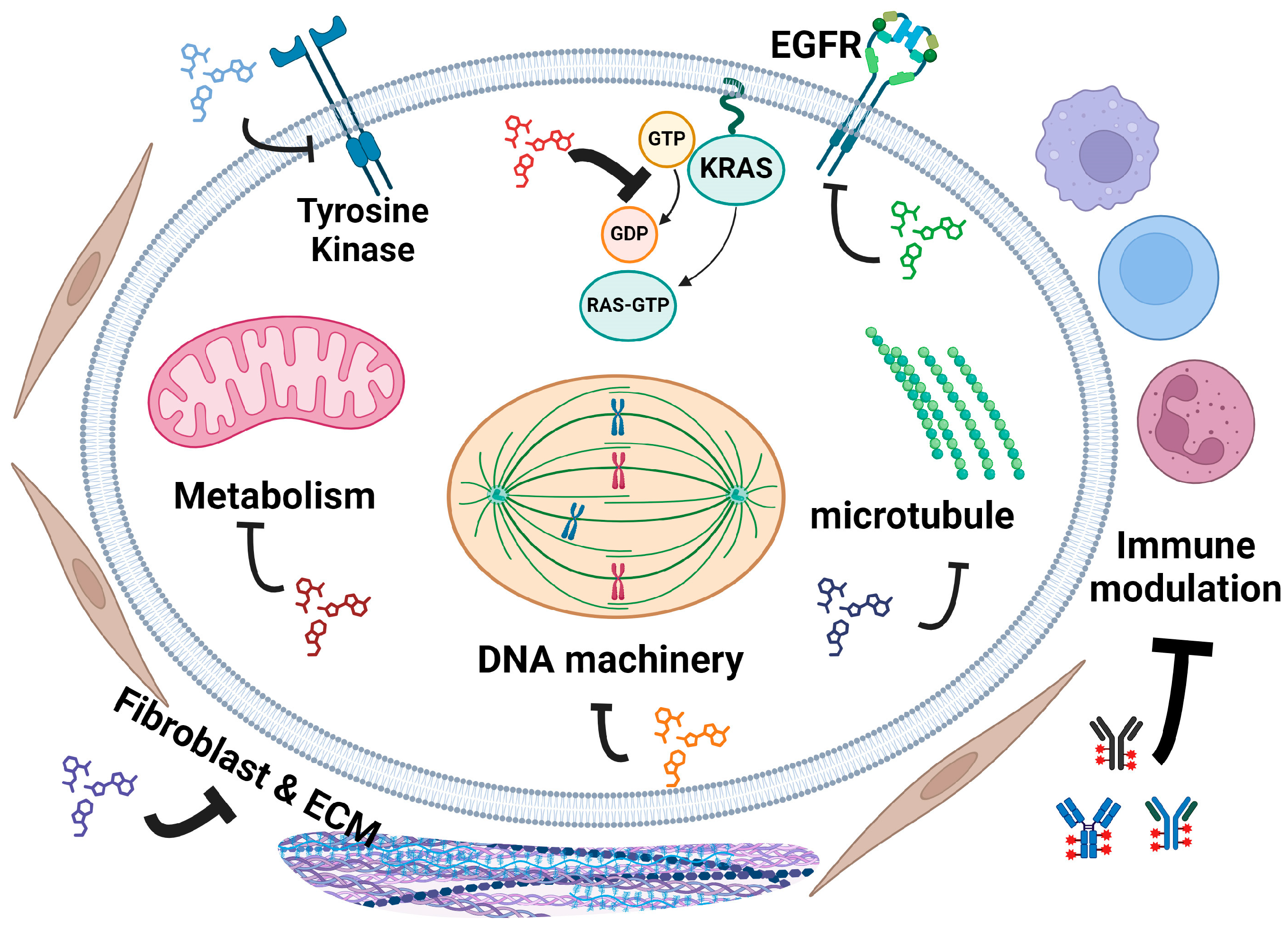 Cancers 16 03564 g009