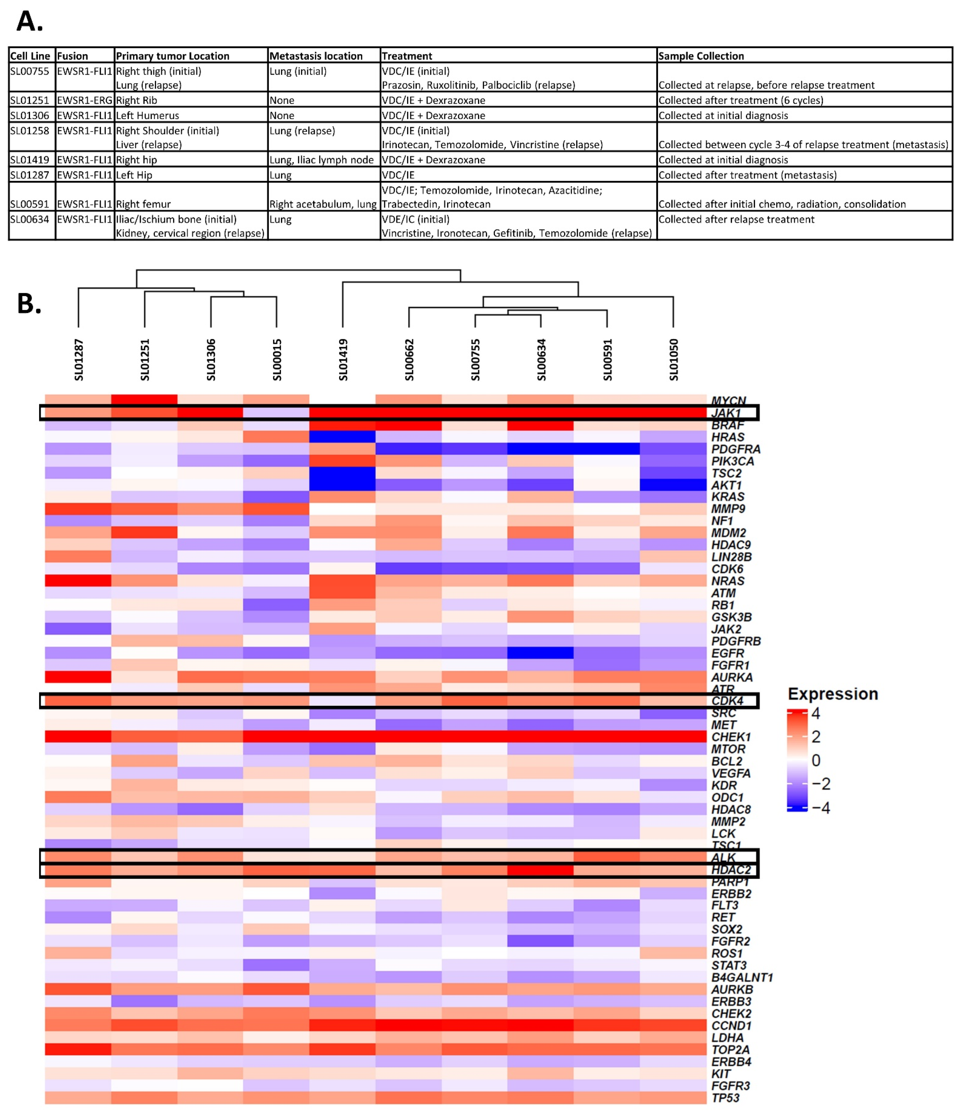 Cancers 16 03565 g001