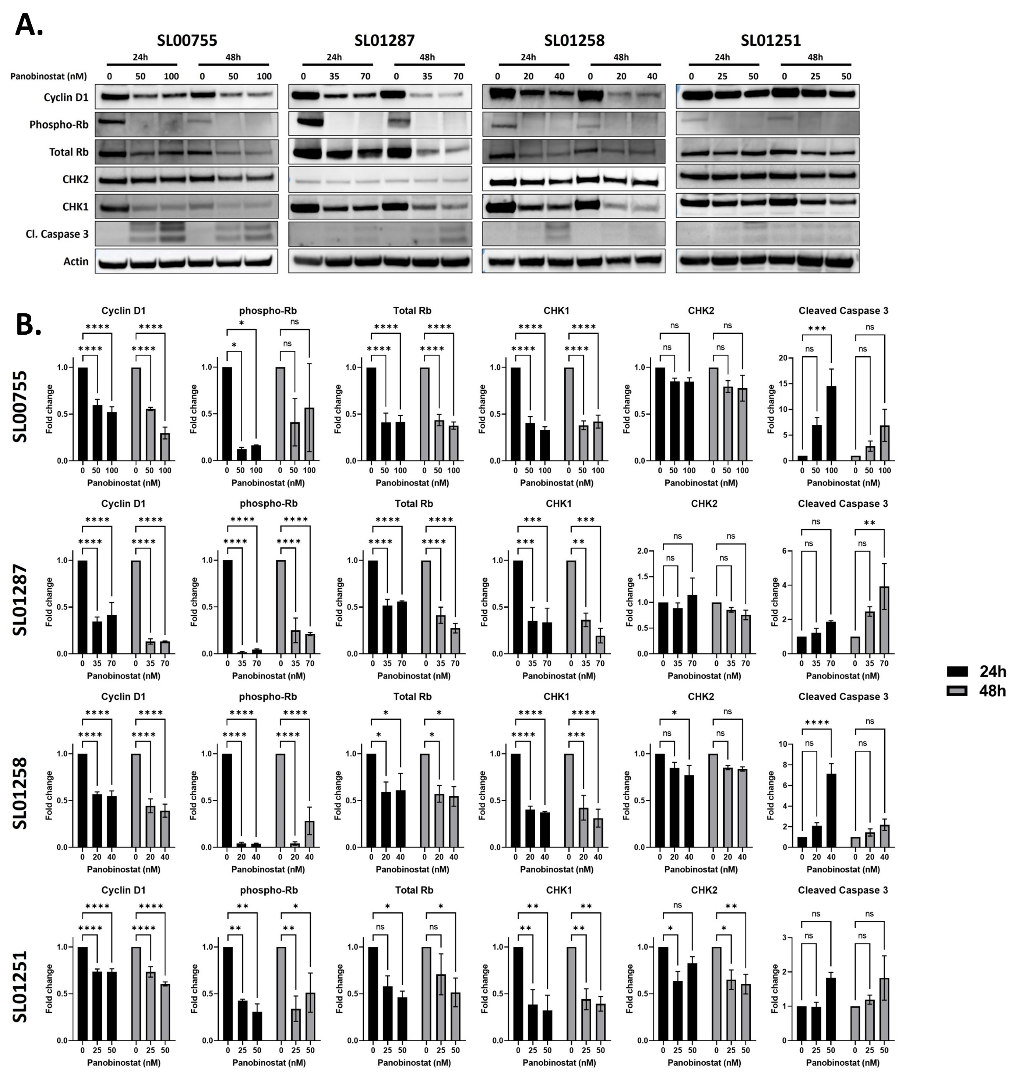 Cancers 16 03565 g004