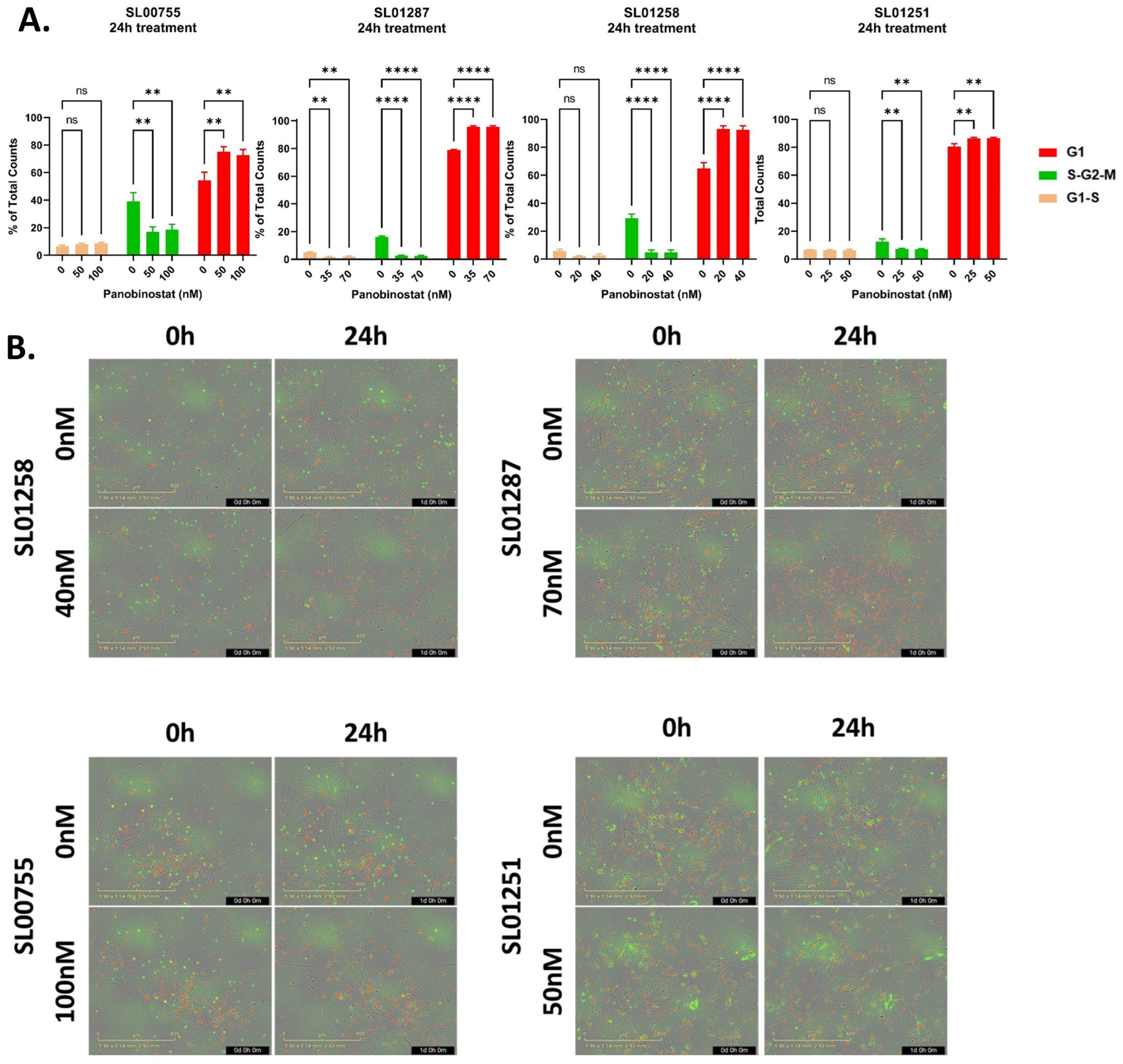 Cancers 16 03565 g005