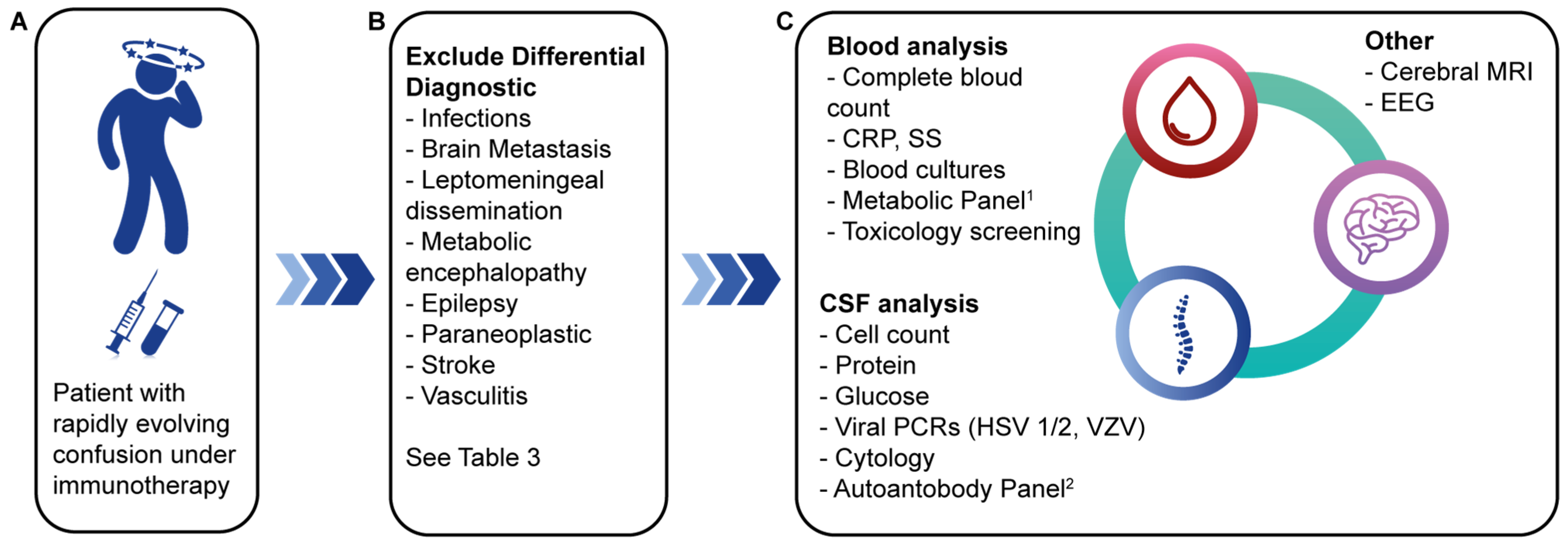 Cancers 16 03571 g001