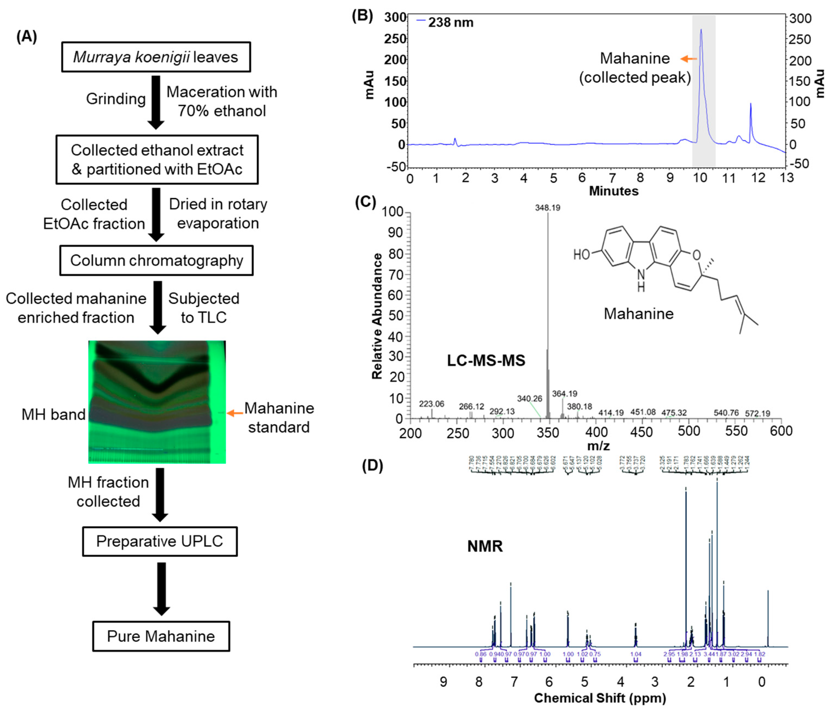 Cancers 16 03572 g001