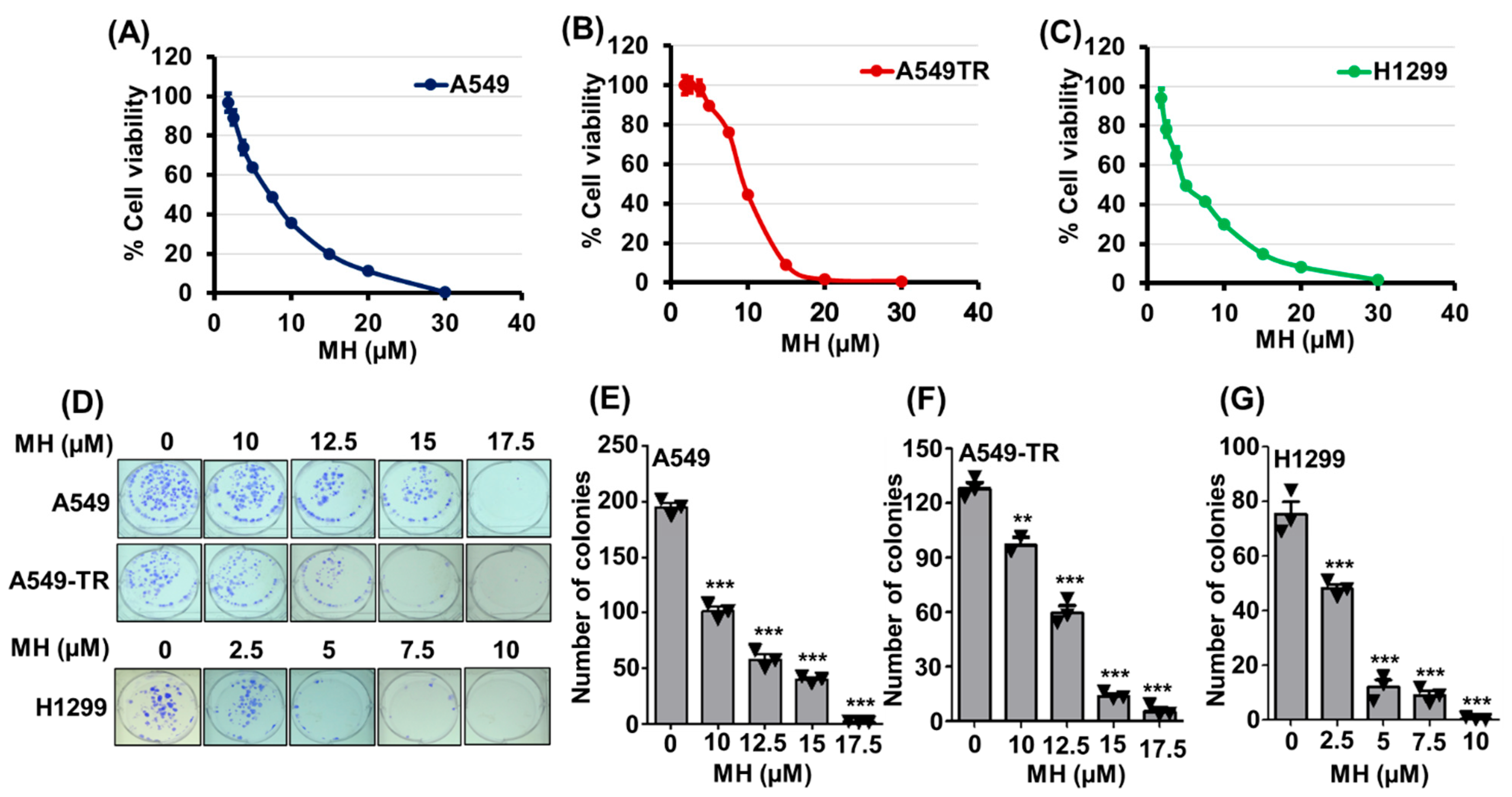 Cancers 16 03572 g002