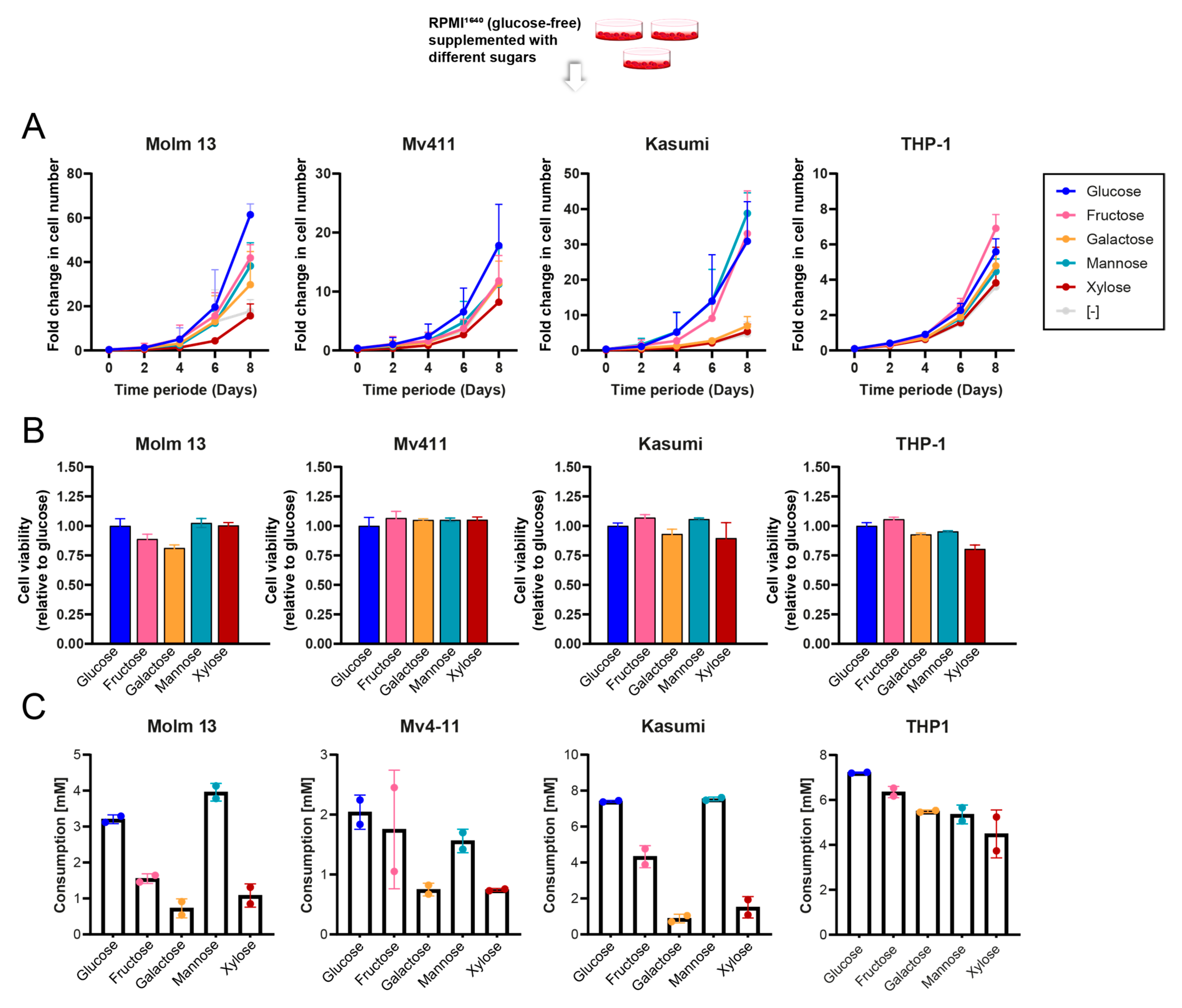 Cancers 16 03576 g001
