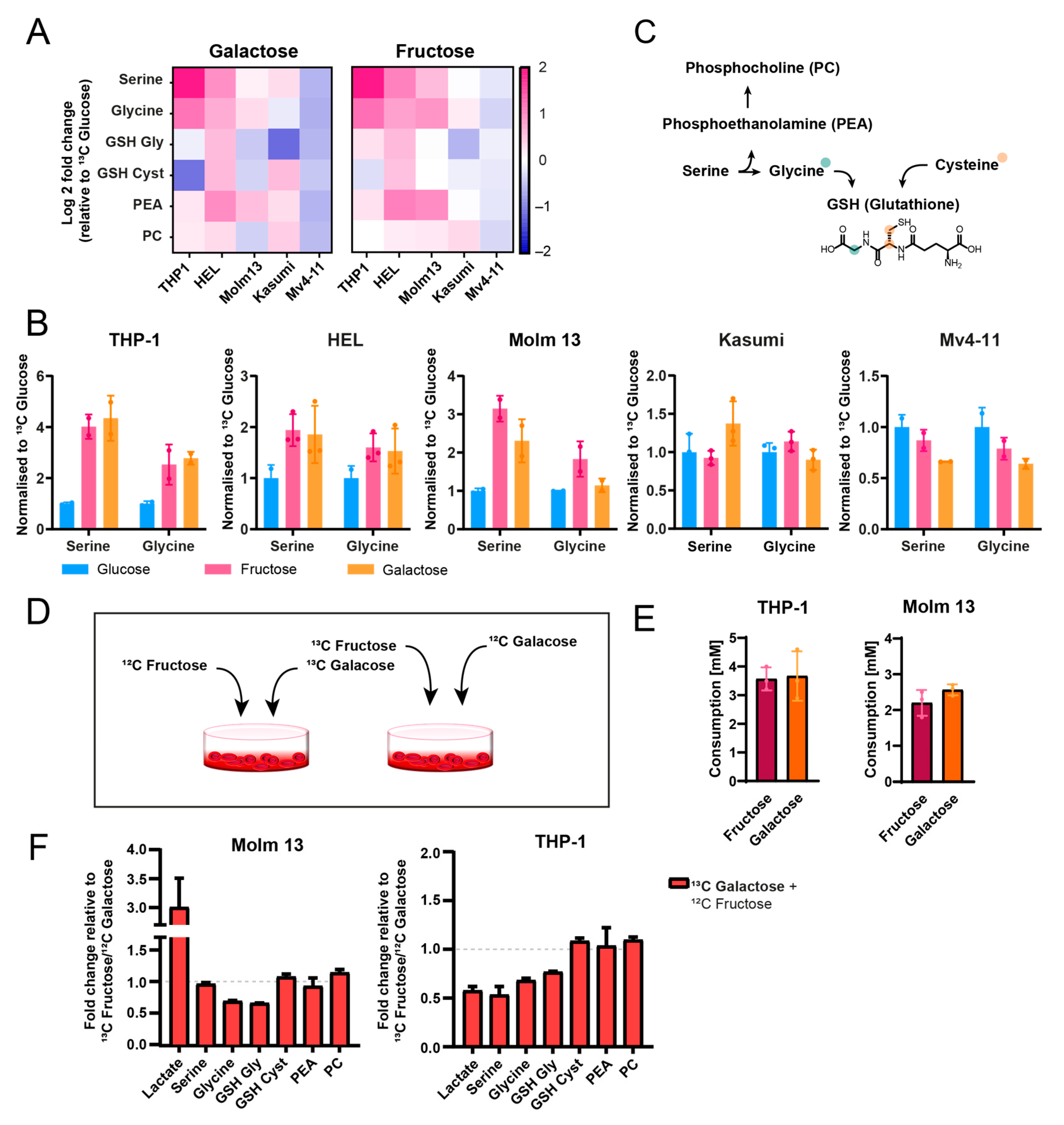 Cancers 16 03576 g003