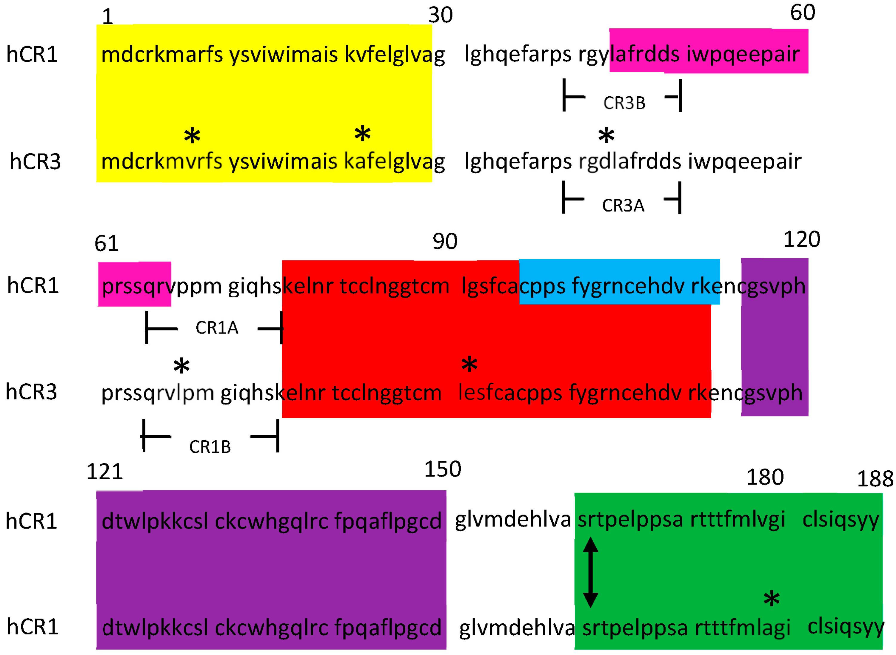 Cancers 16 03577 g001 Cancers 16 03577 g001