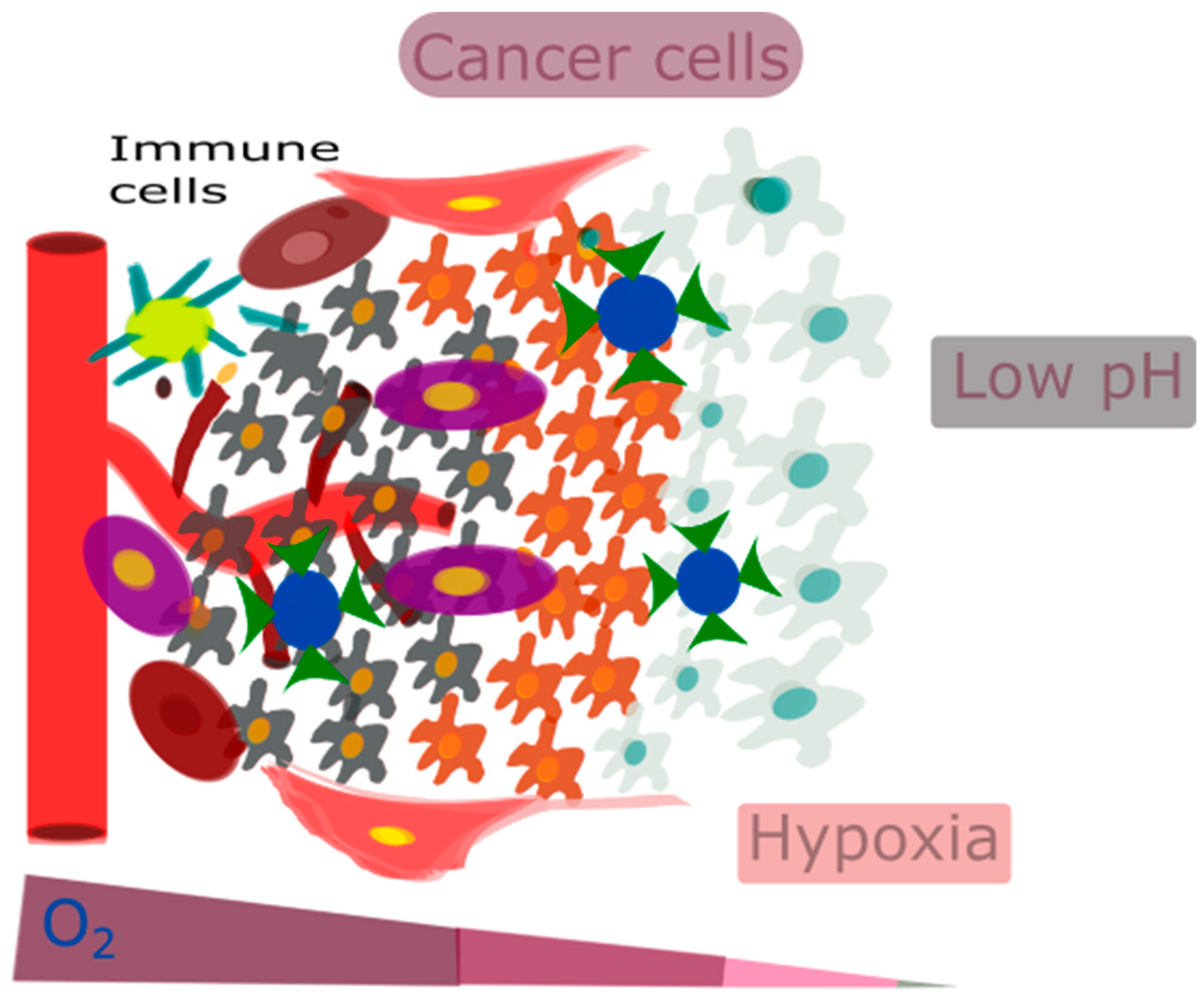 Cancers 16 03581 g002 Cancers 16 03581 g002