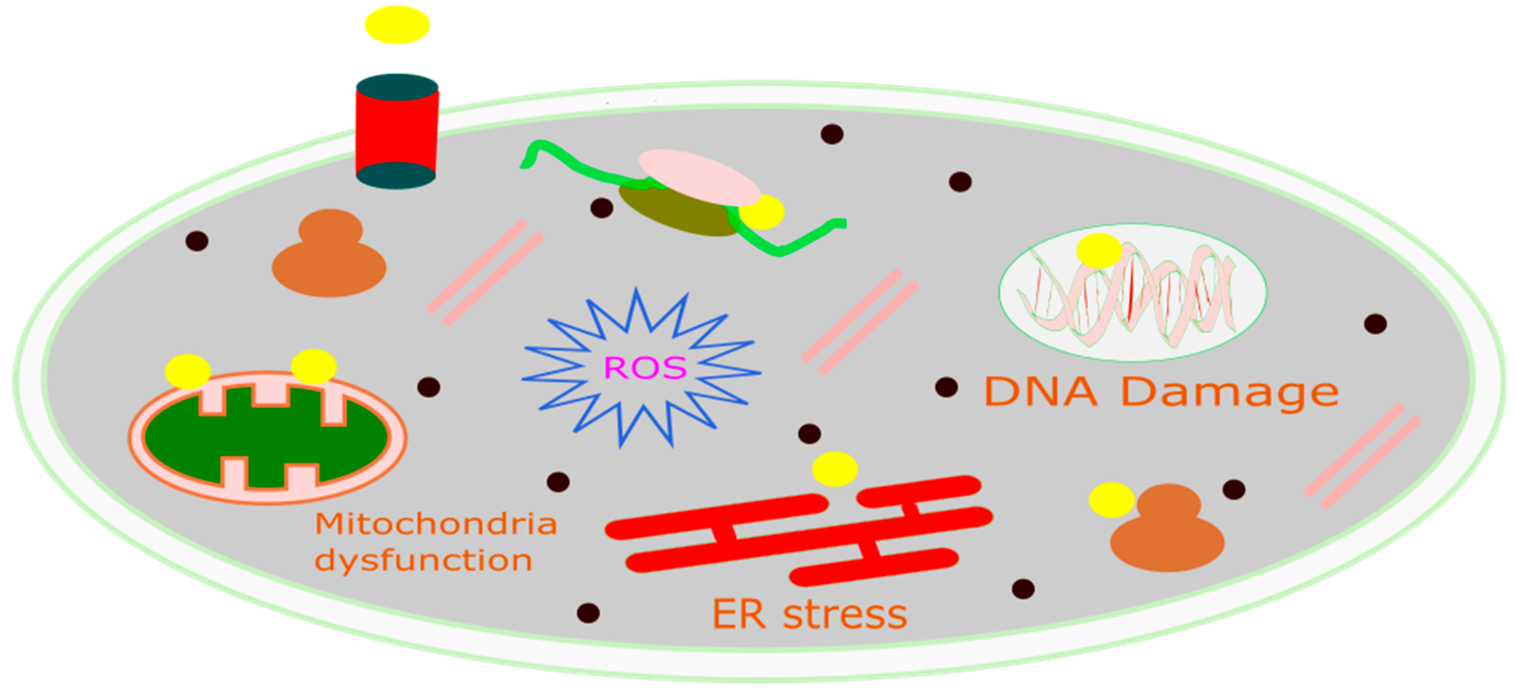 Cancers 16 03581 g003 Cancers 16 03581 g003