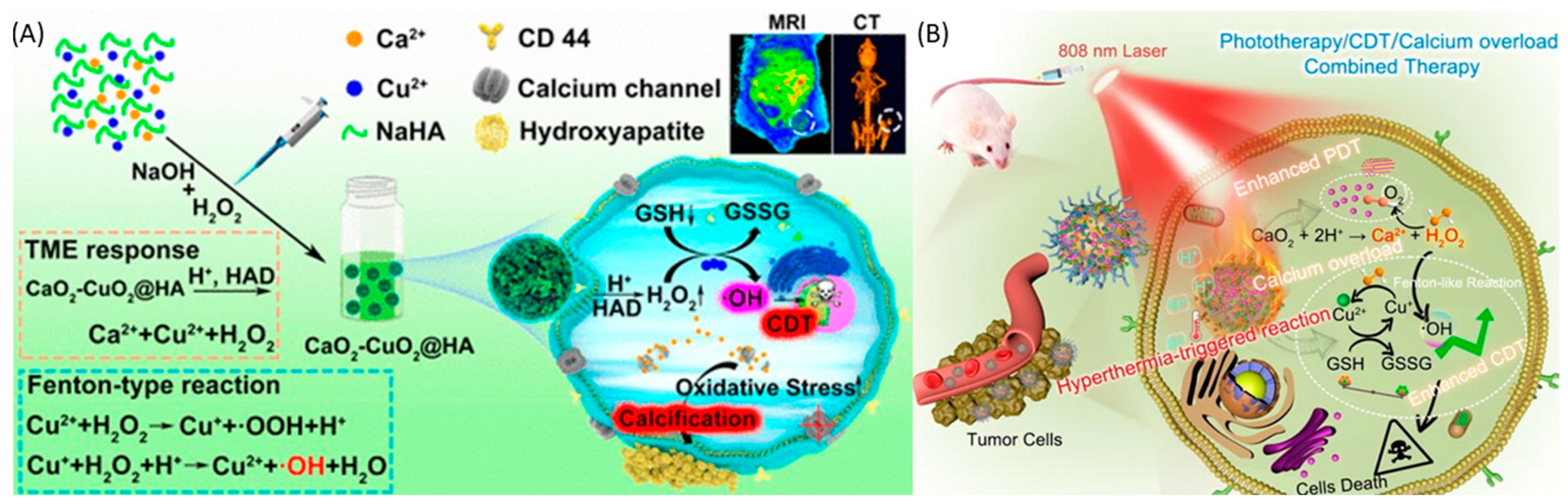 Cancers 16 03581 g005 Cancers 16 03581 g005