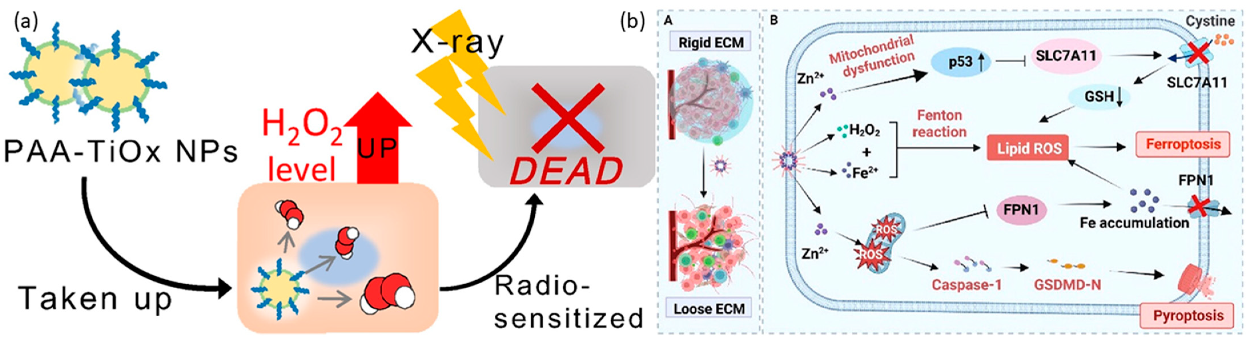 Cancers 16 03581 g006 Cancers 16 03581 g006