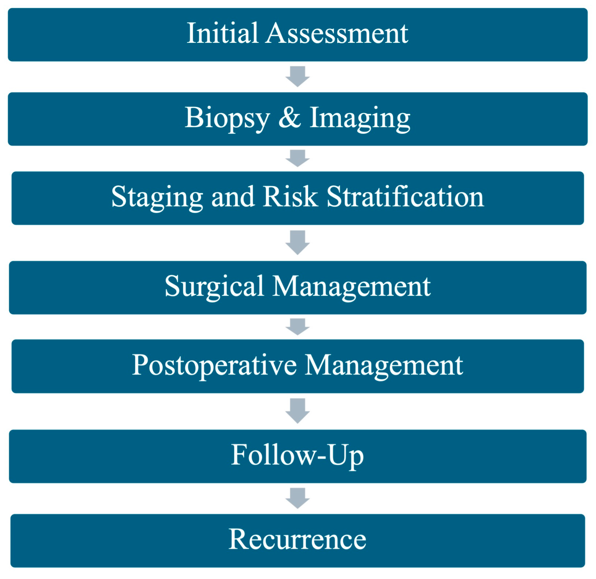 Cancers 16 03582 g001