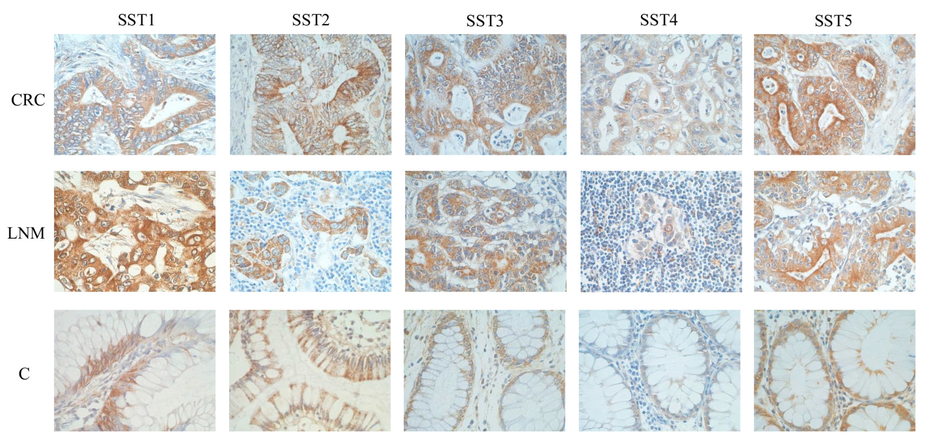 Cancers 16 03584 g003