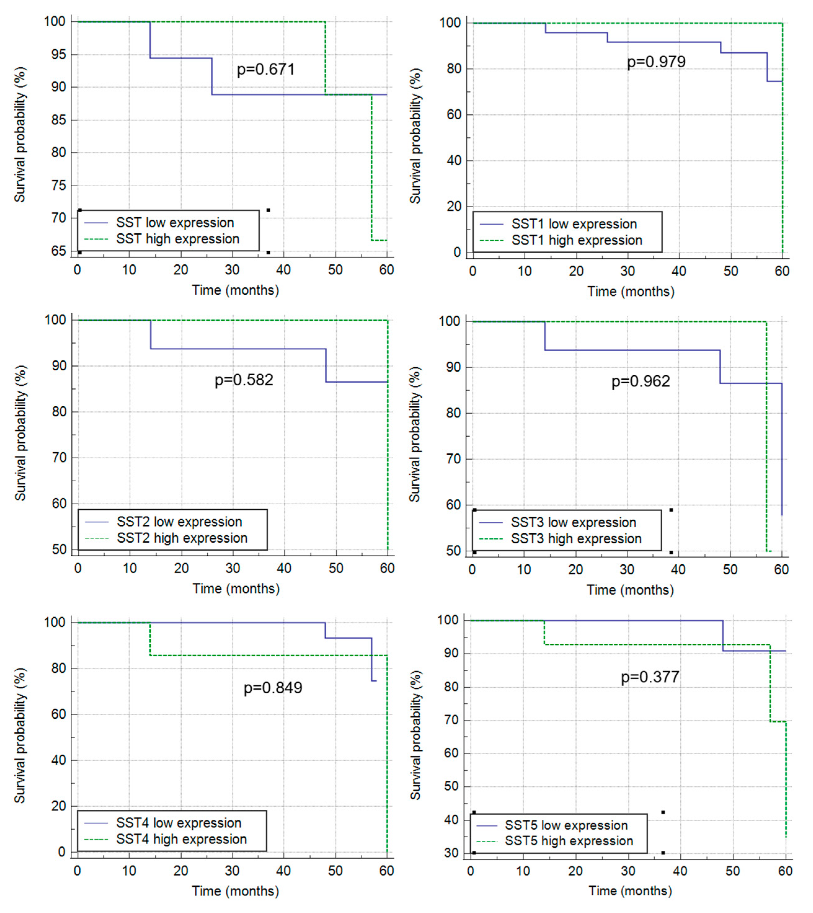 Cancers 16 03584 g006