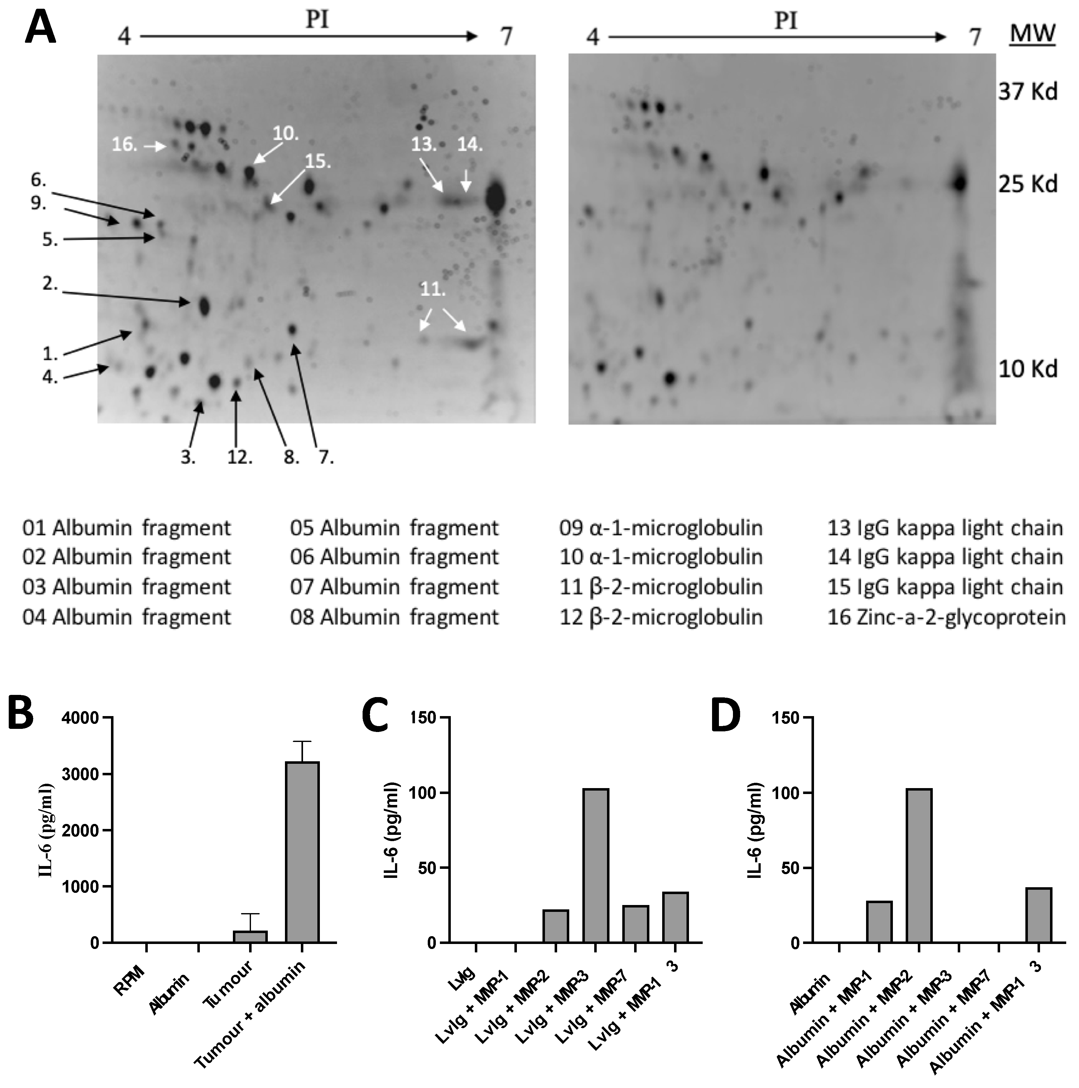 Cancers 16 03588 g001