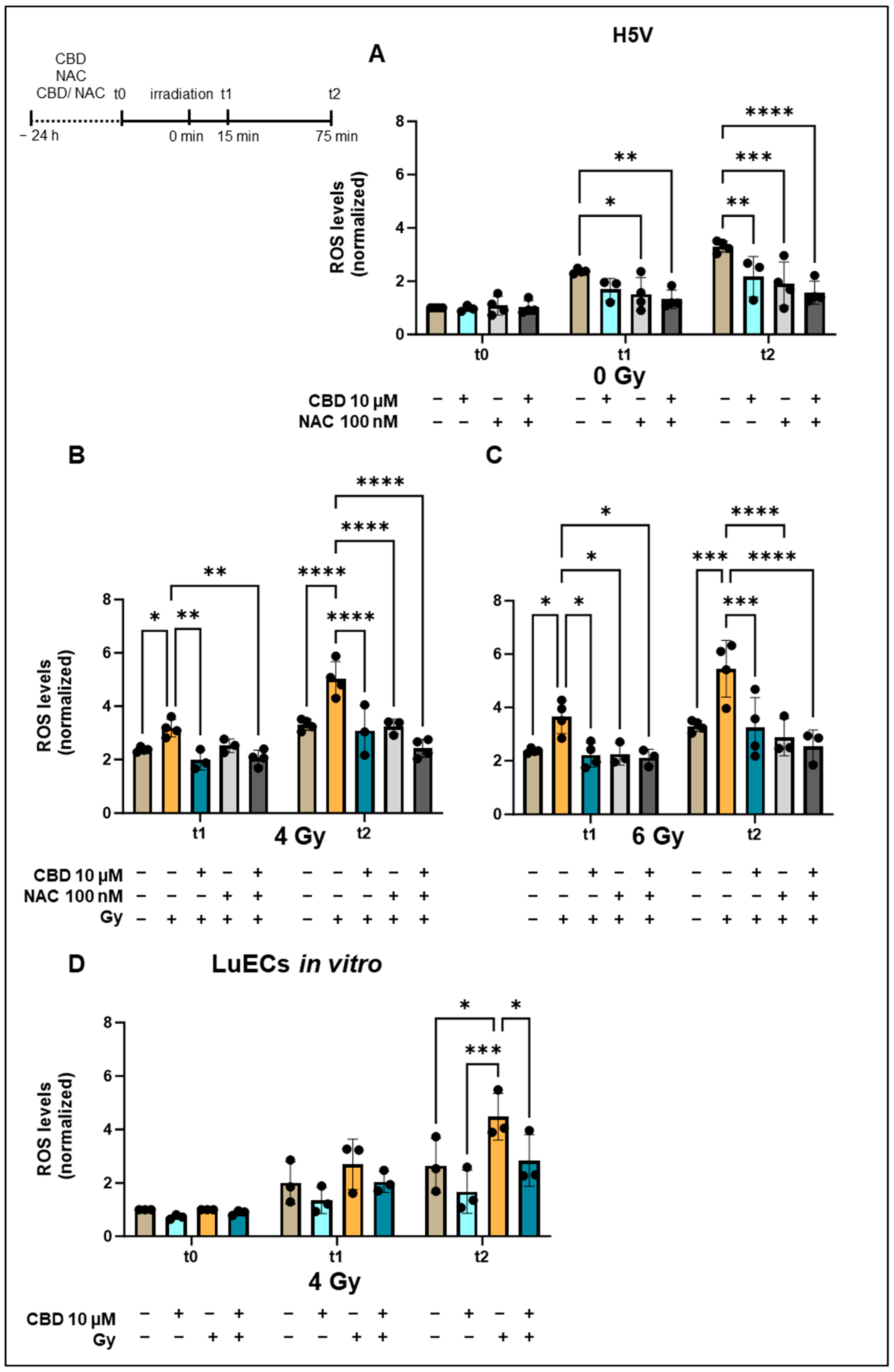 Cancers 16 03589 g001