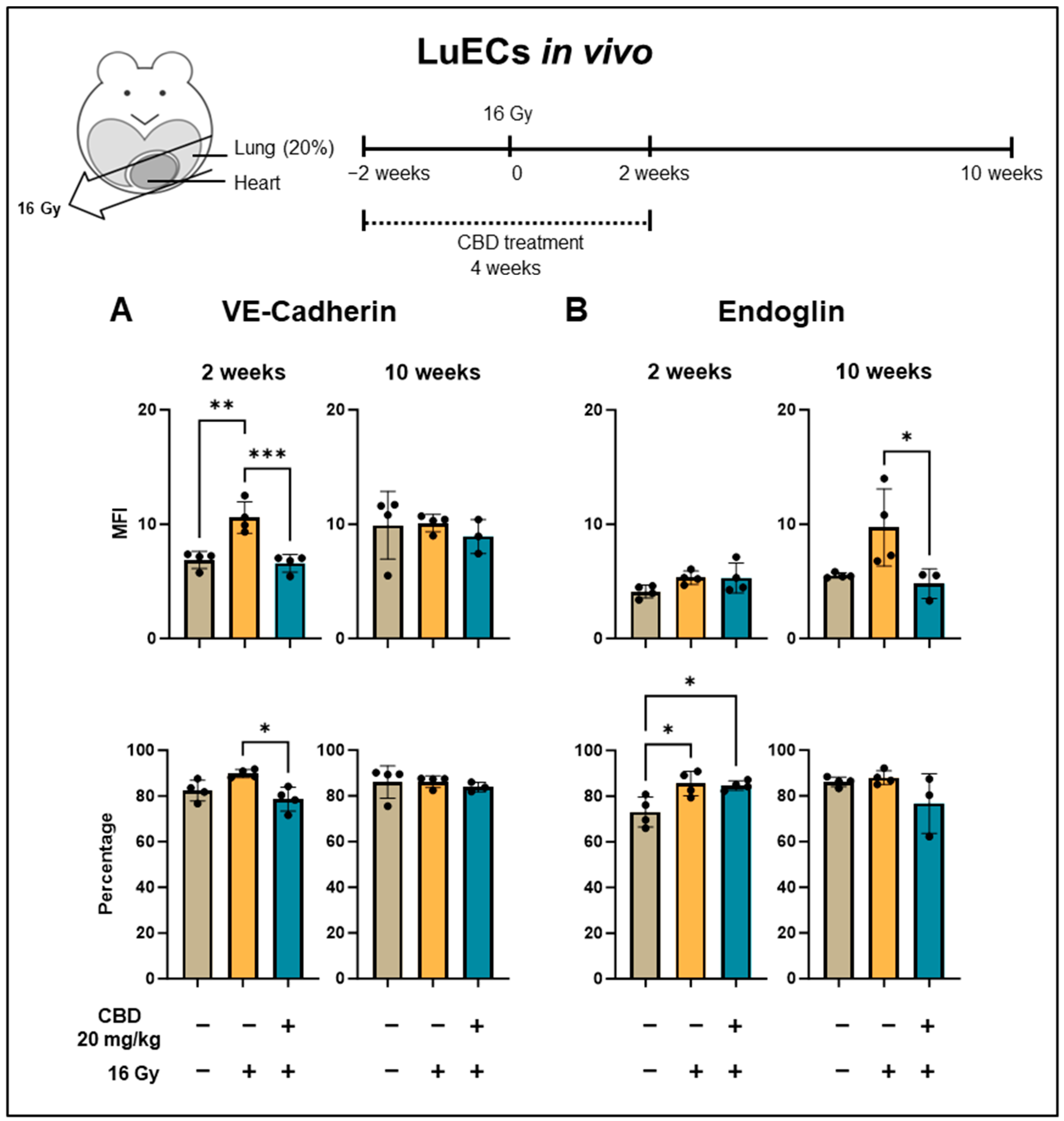 Cancers 16 03589 g005