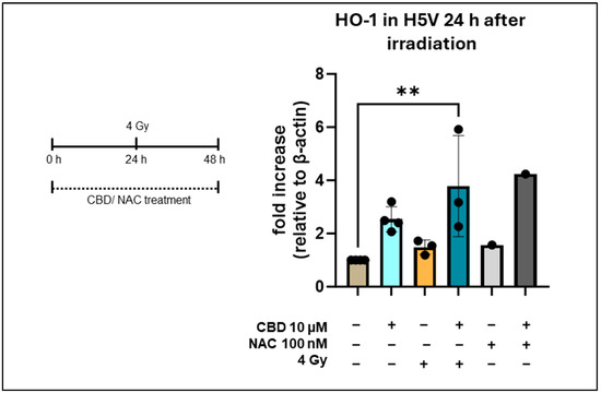 Cancers 16 03589 g0a3