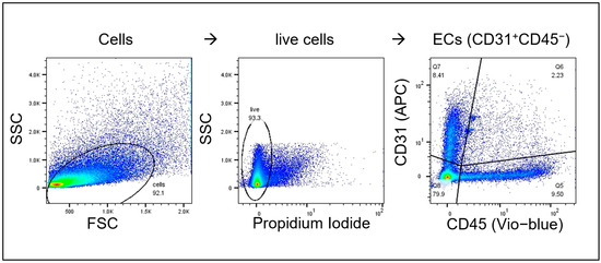 Cancers 16 03589 g0a4