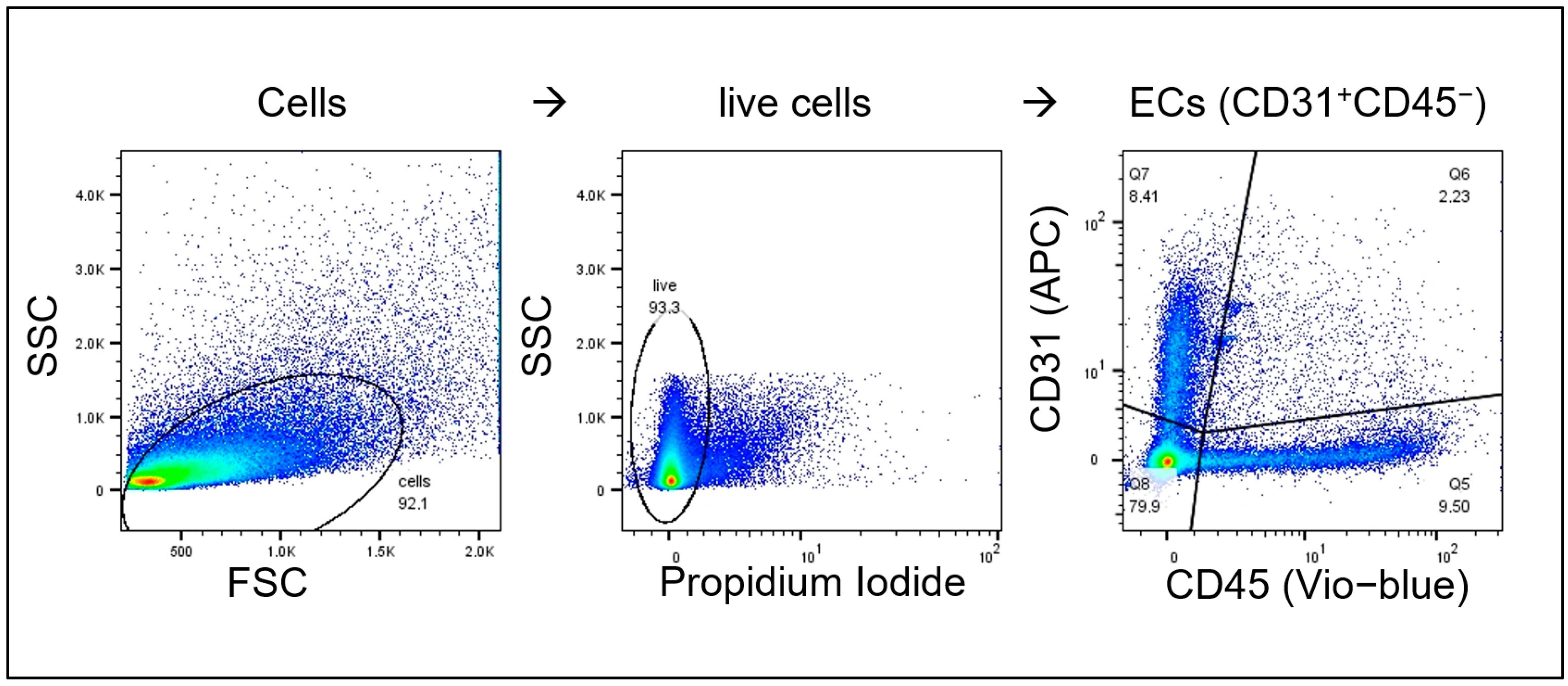 Cancers 16 03589 g0a4