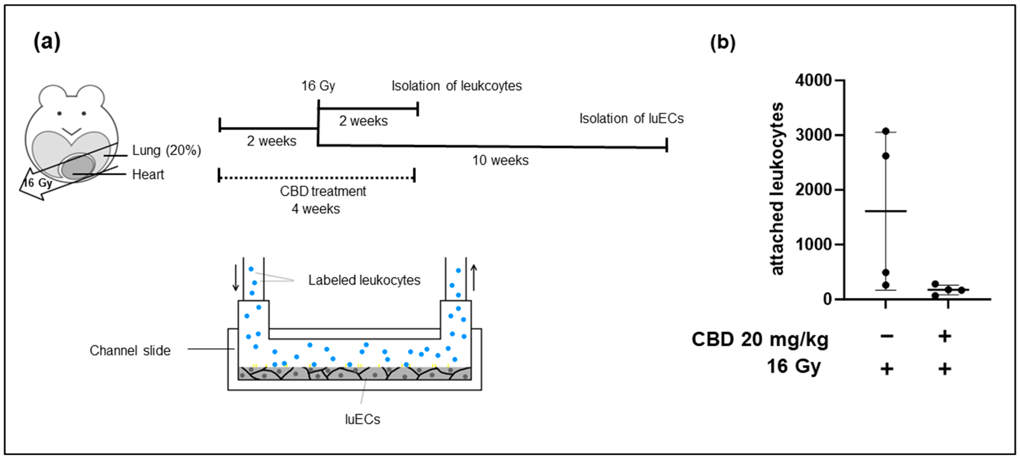 Cancers 16 03589 g0a5