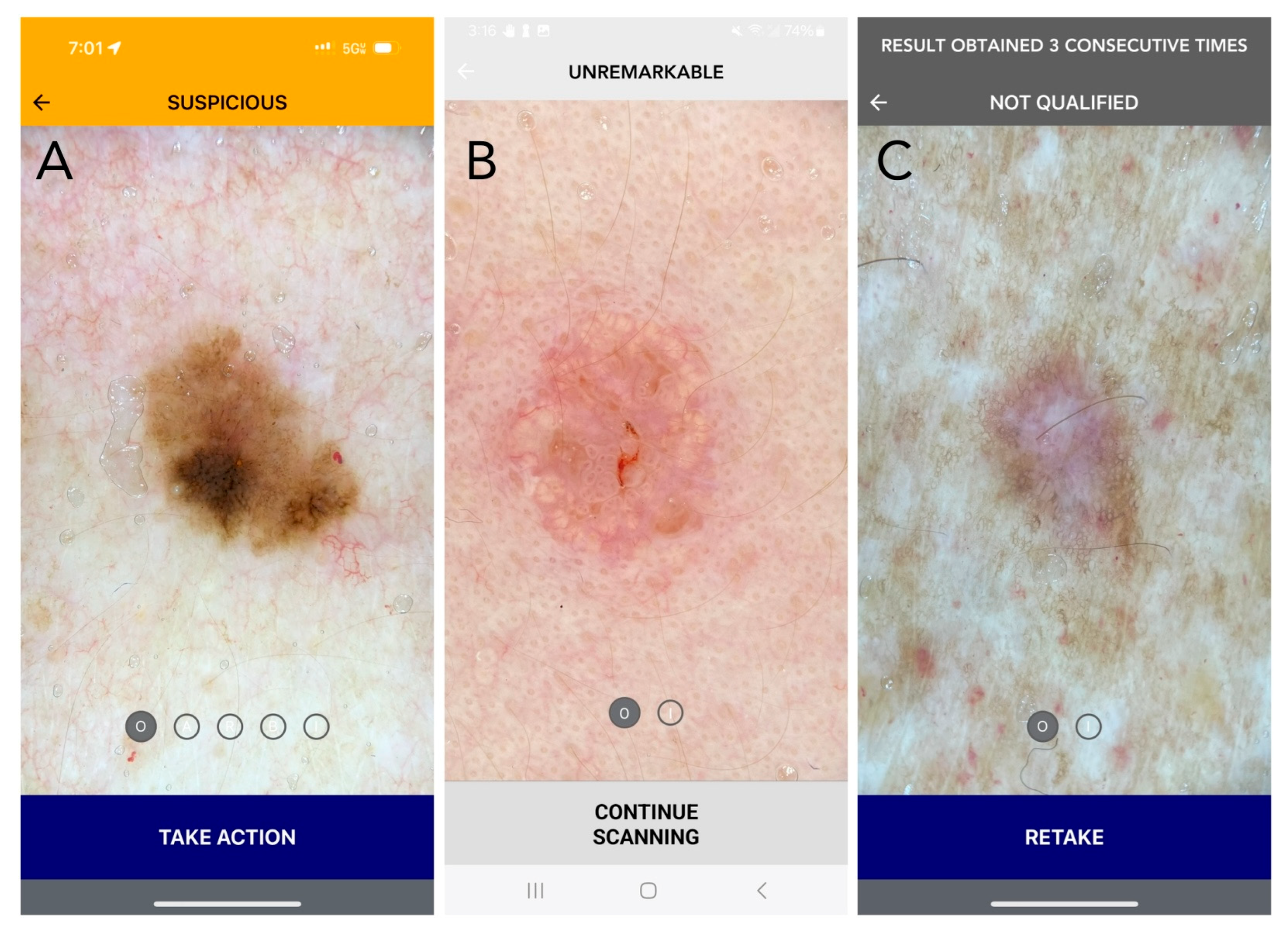 Cancers 16 03592 g001