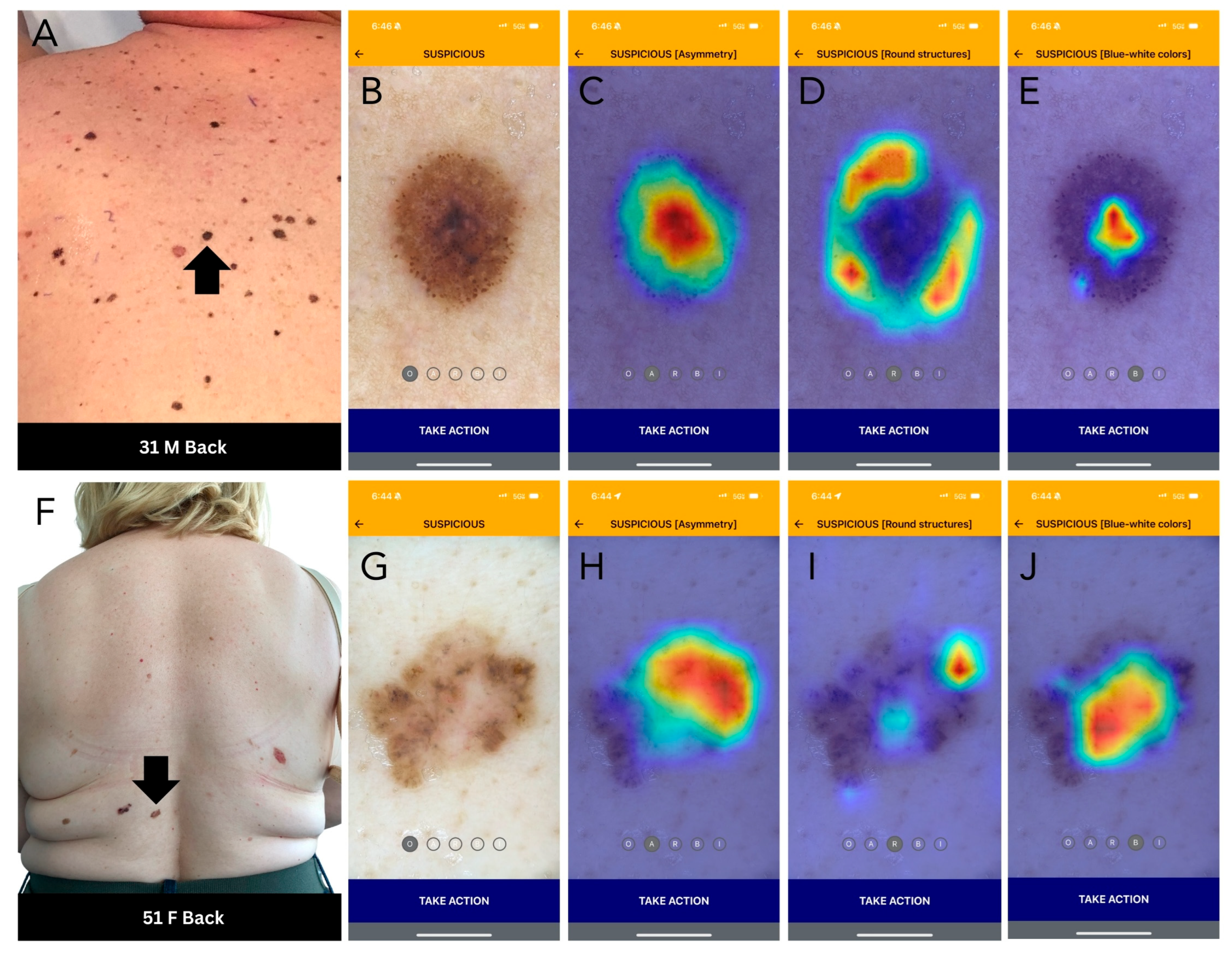 Cancers 16 03592 g002