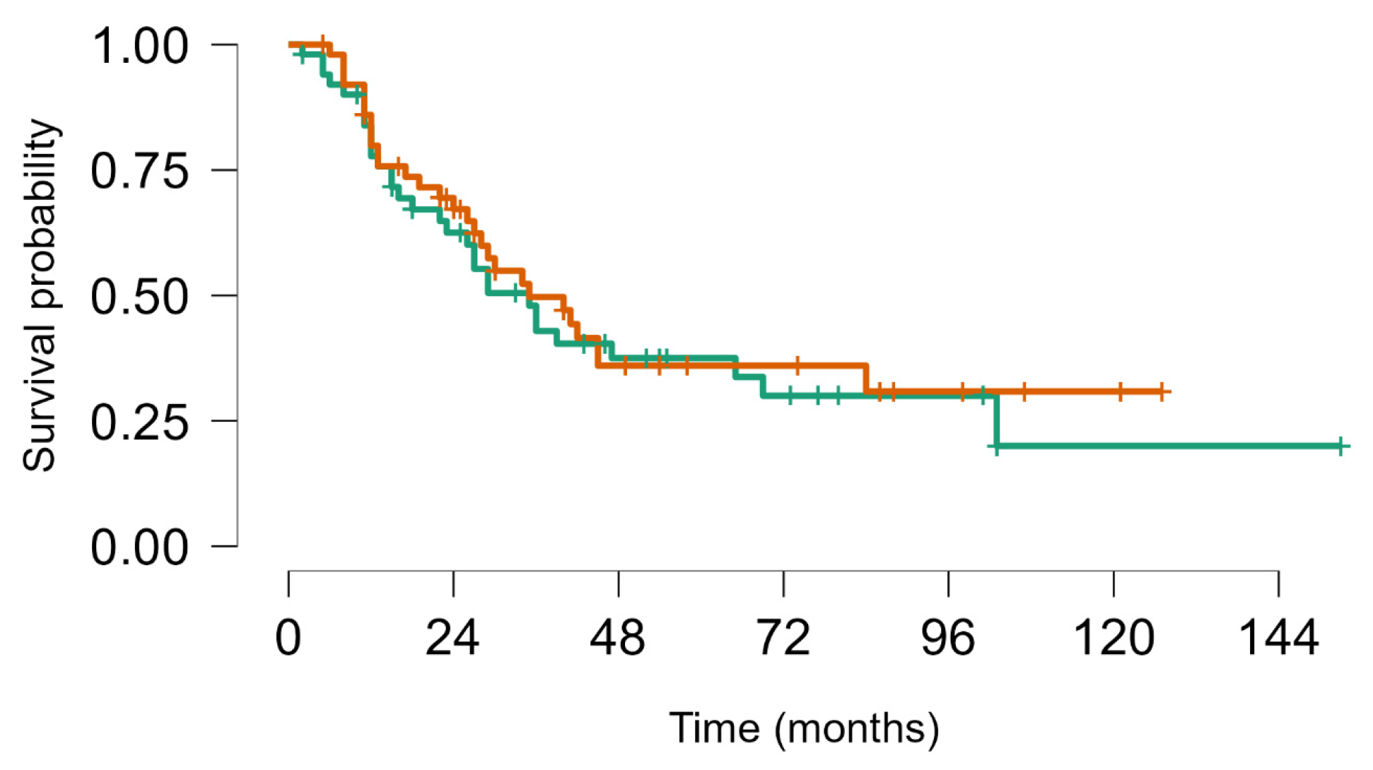 Cancers 16 03593 g004