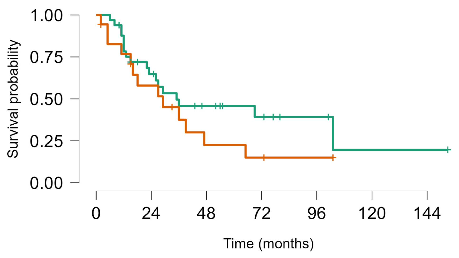 Cancers 16 03593 g005