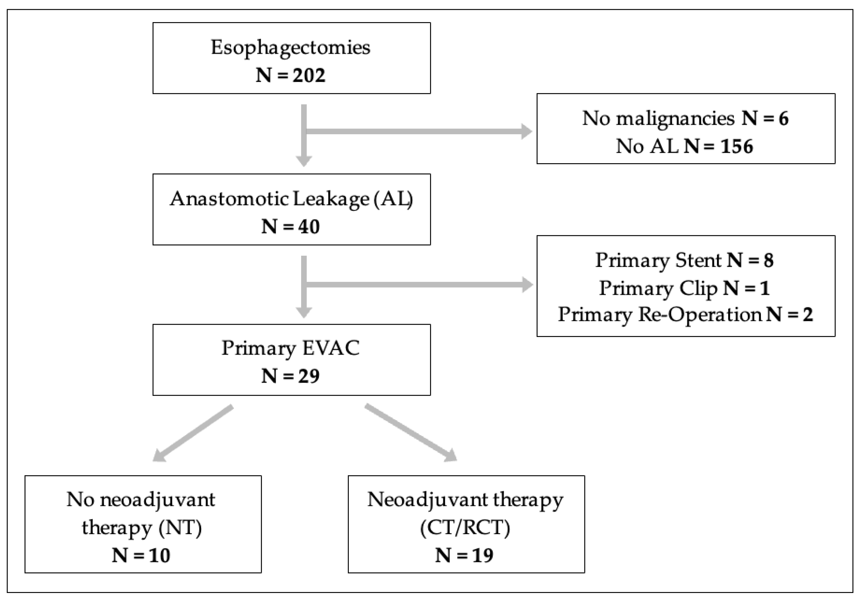 Cancers 16 03597 g001