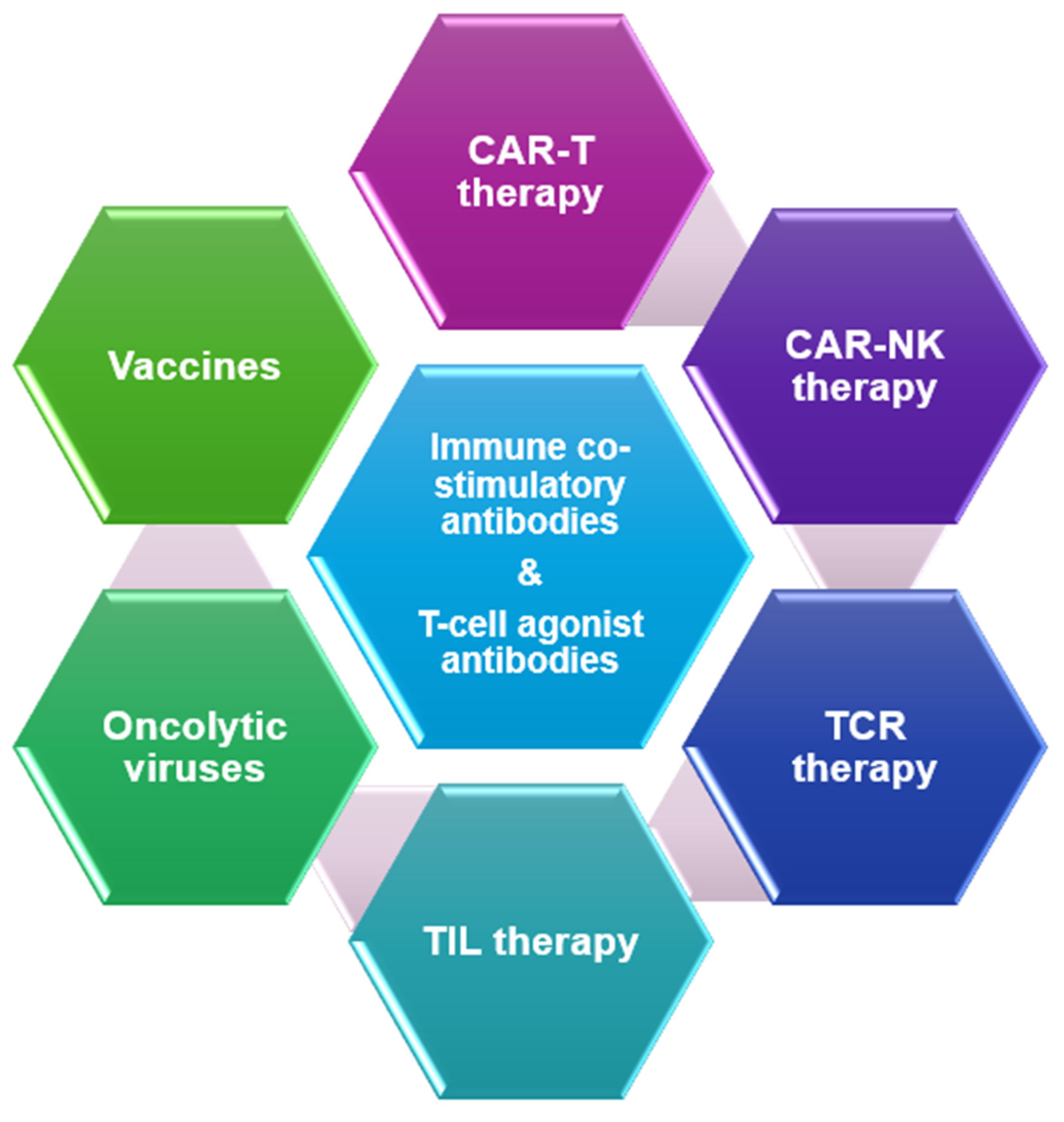 Cancers 16 03603 g001