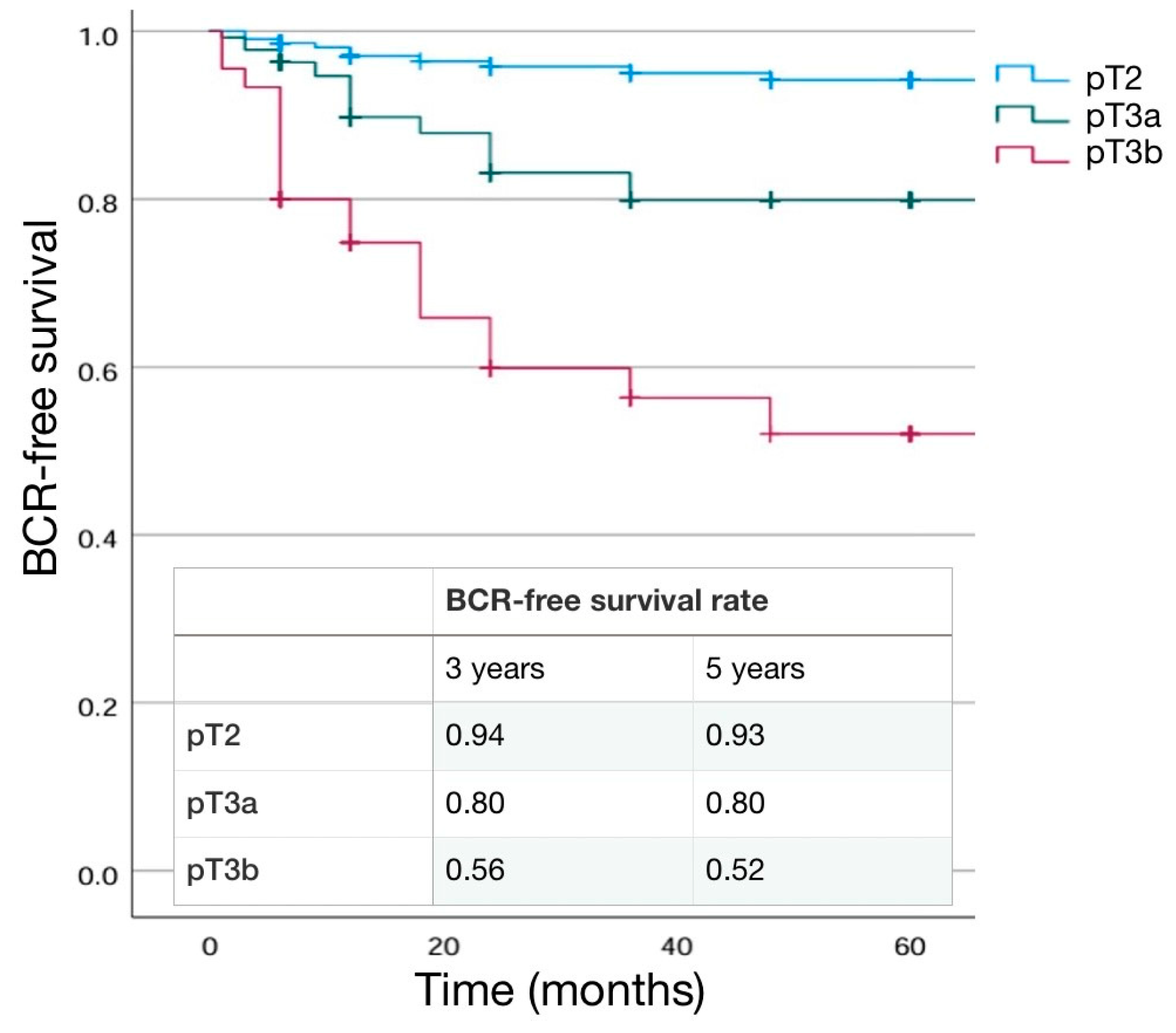 Cancers 16 03604 g002