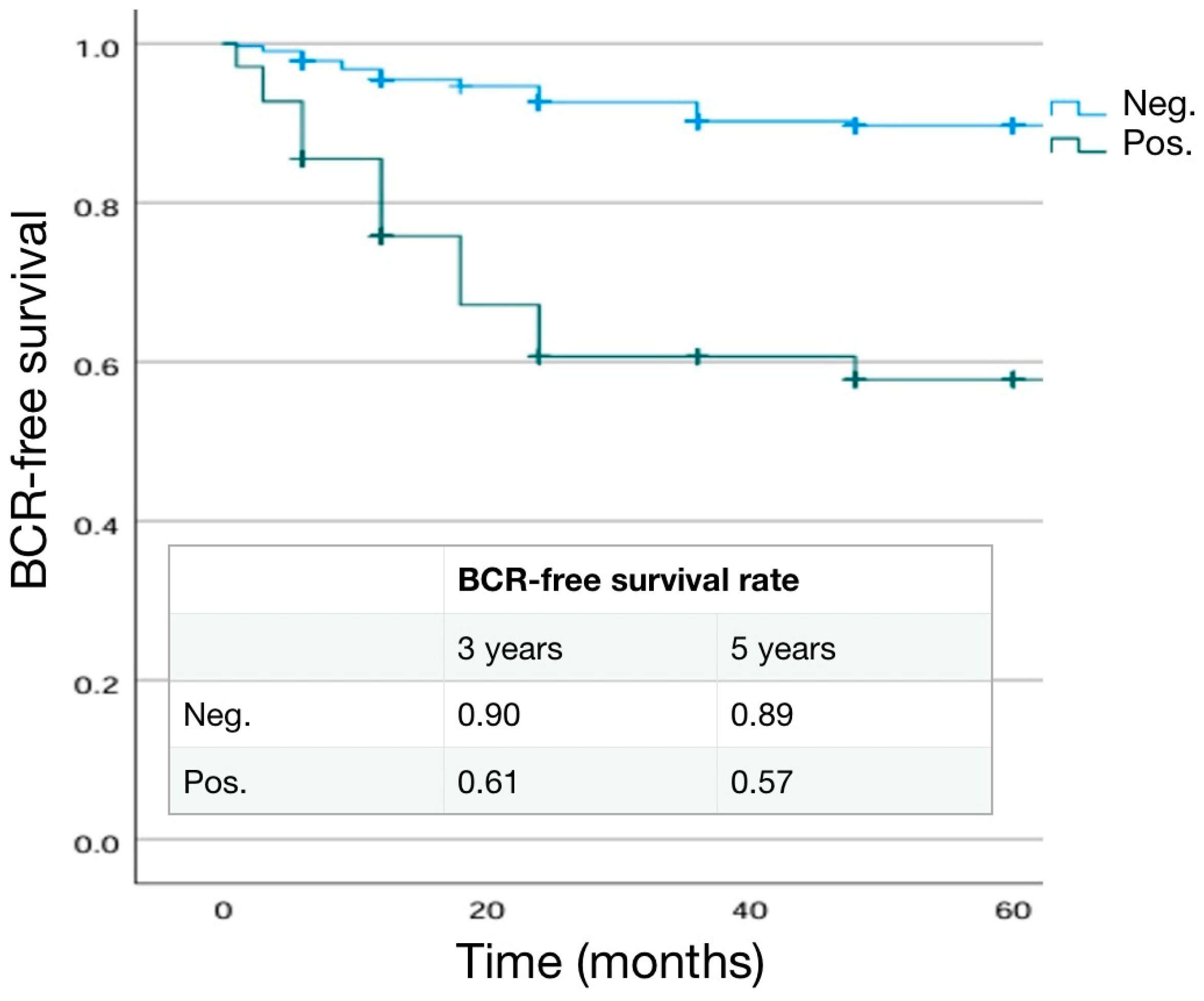 Cancers 16 03604 g004