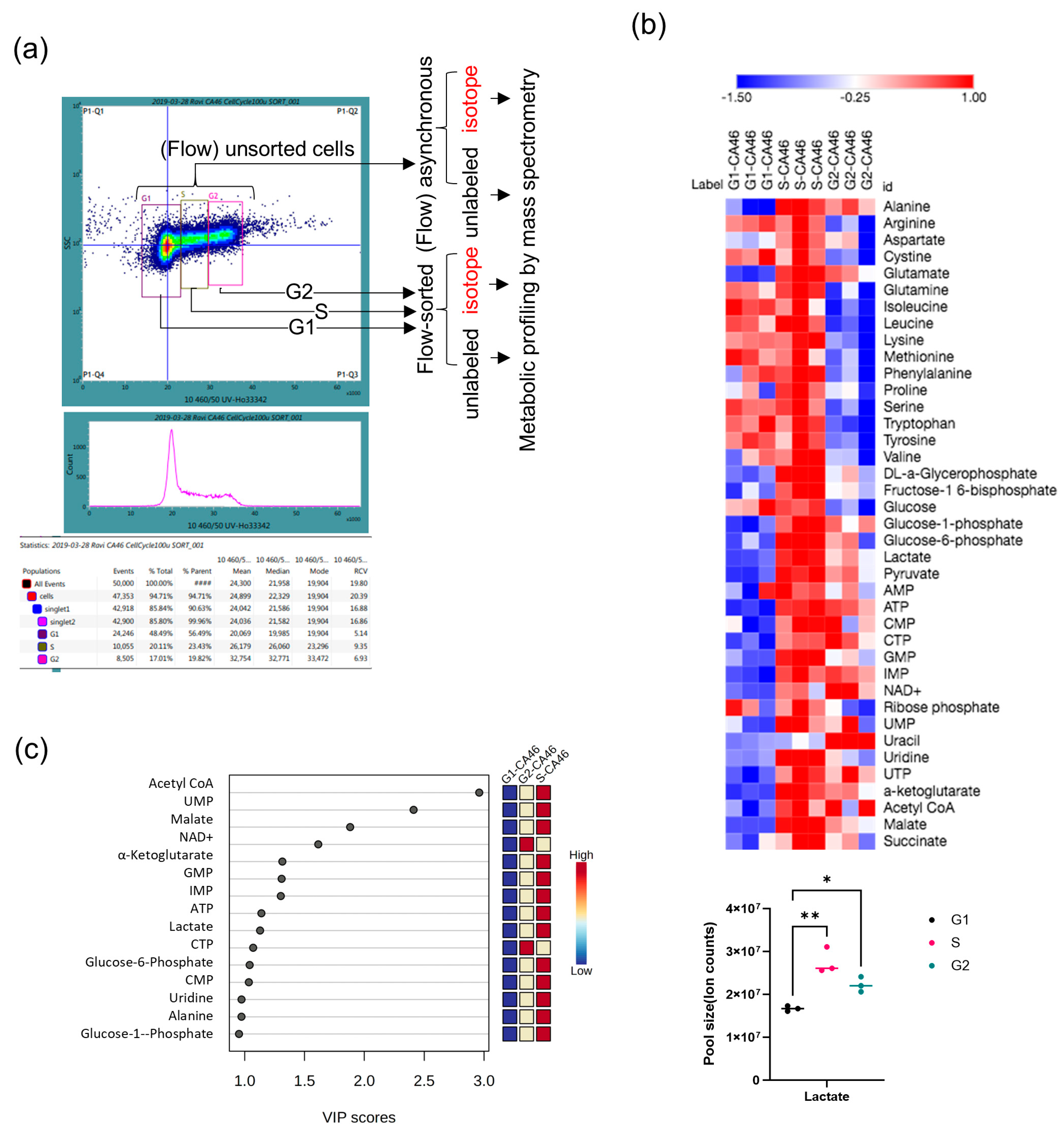 Cancers 16 03606 g001